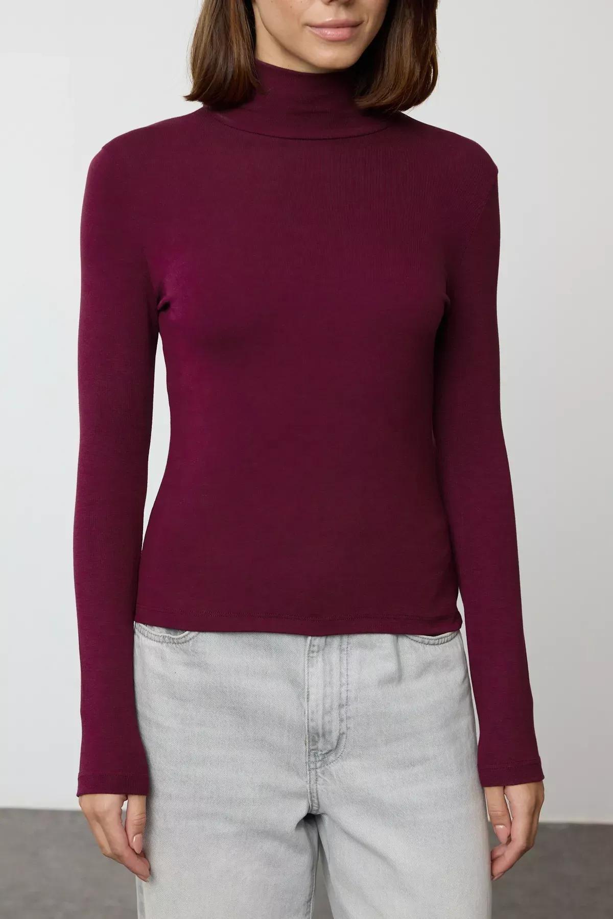 Burgundy Fitted Turtleneck Knit Blouse, , large image number 2