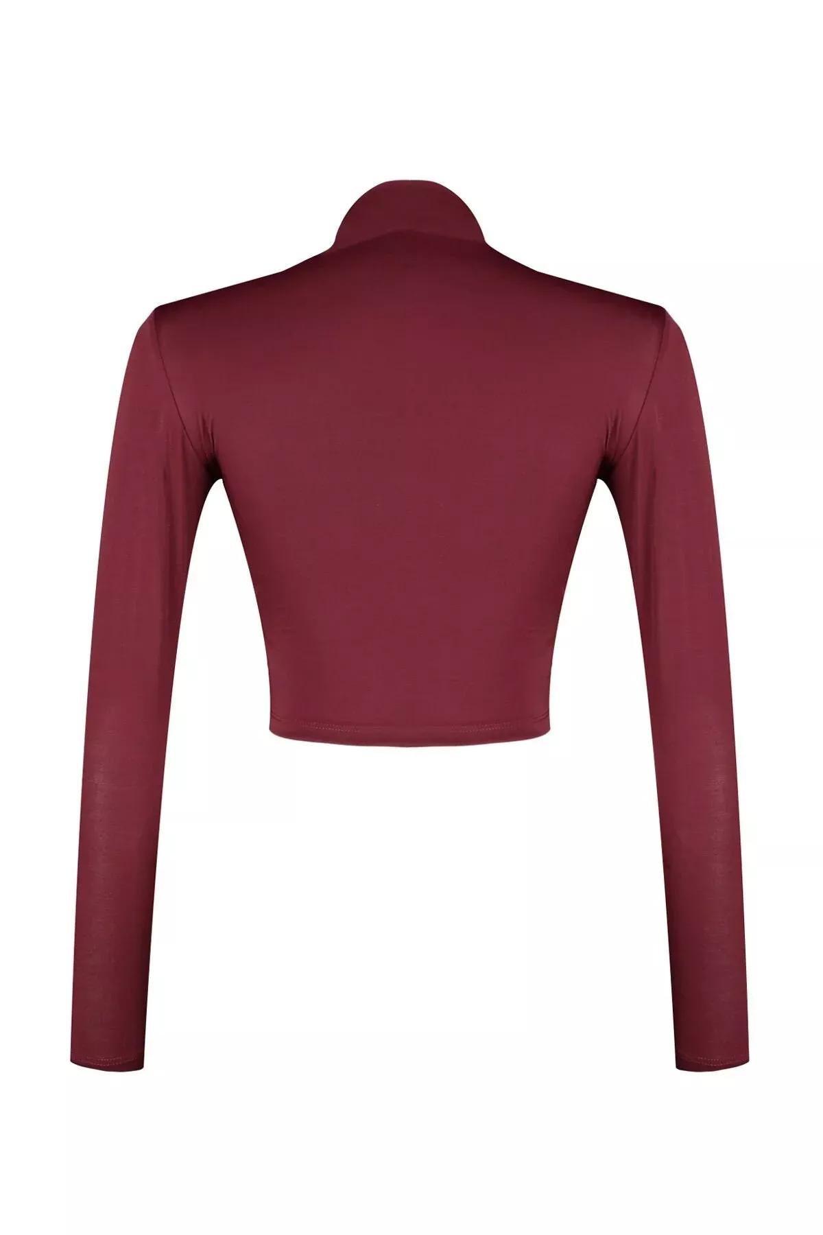 Burgundy High Neck Draped Crop Blouse, Burgundy, large image number 6