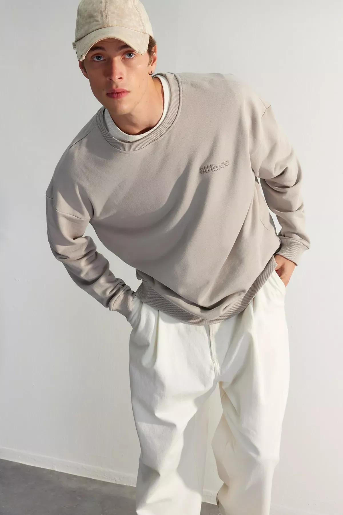 Grey Oversize Embroidered Sweatshirt, C101_3376, medium