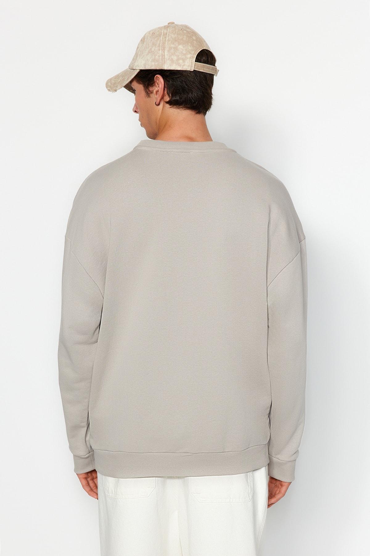 Grey Oversize Embroidered Sweatshirt, , large image number 3