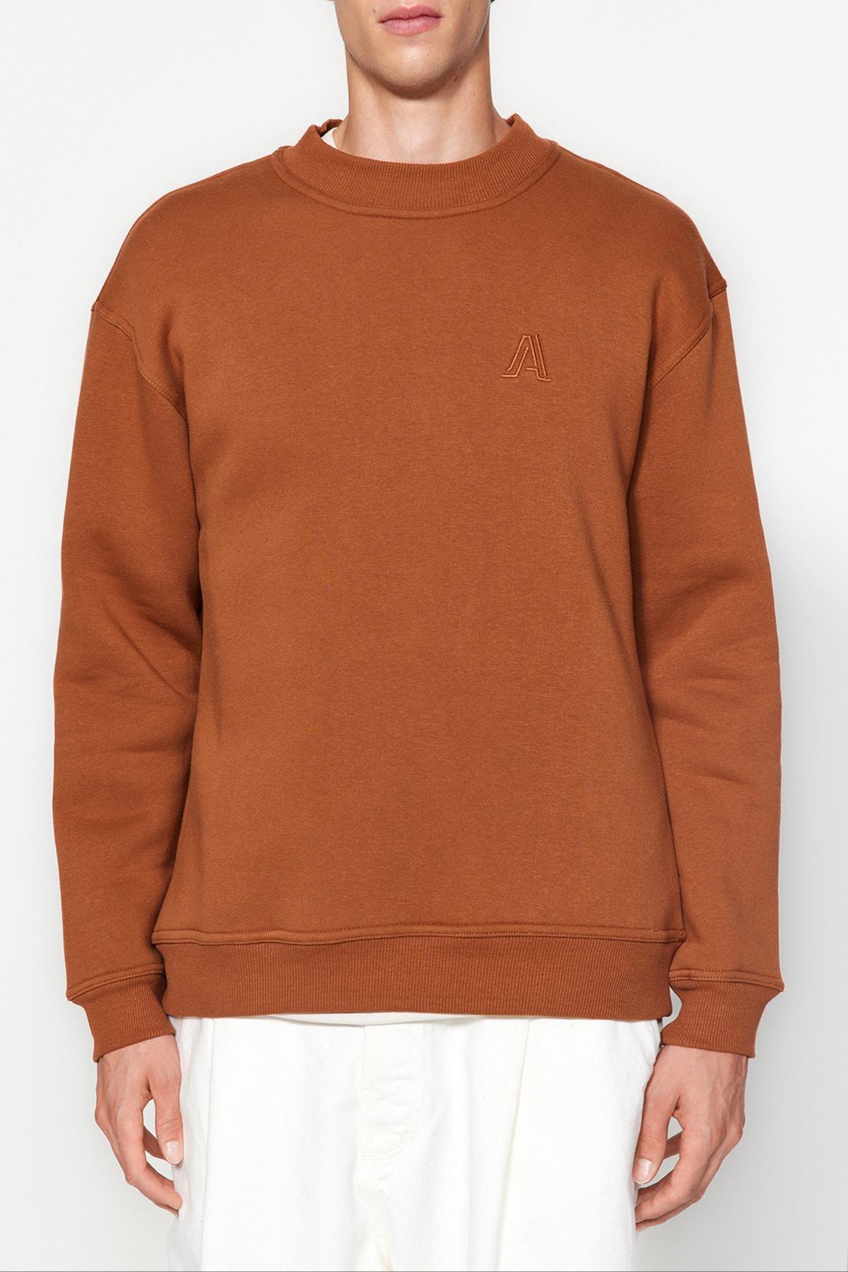 Brown Turtleneck Relaxed Sweatshirt, C101_1539, large image number 1