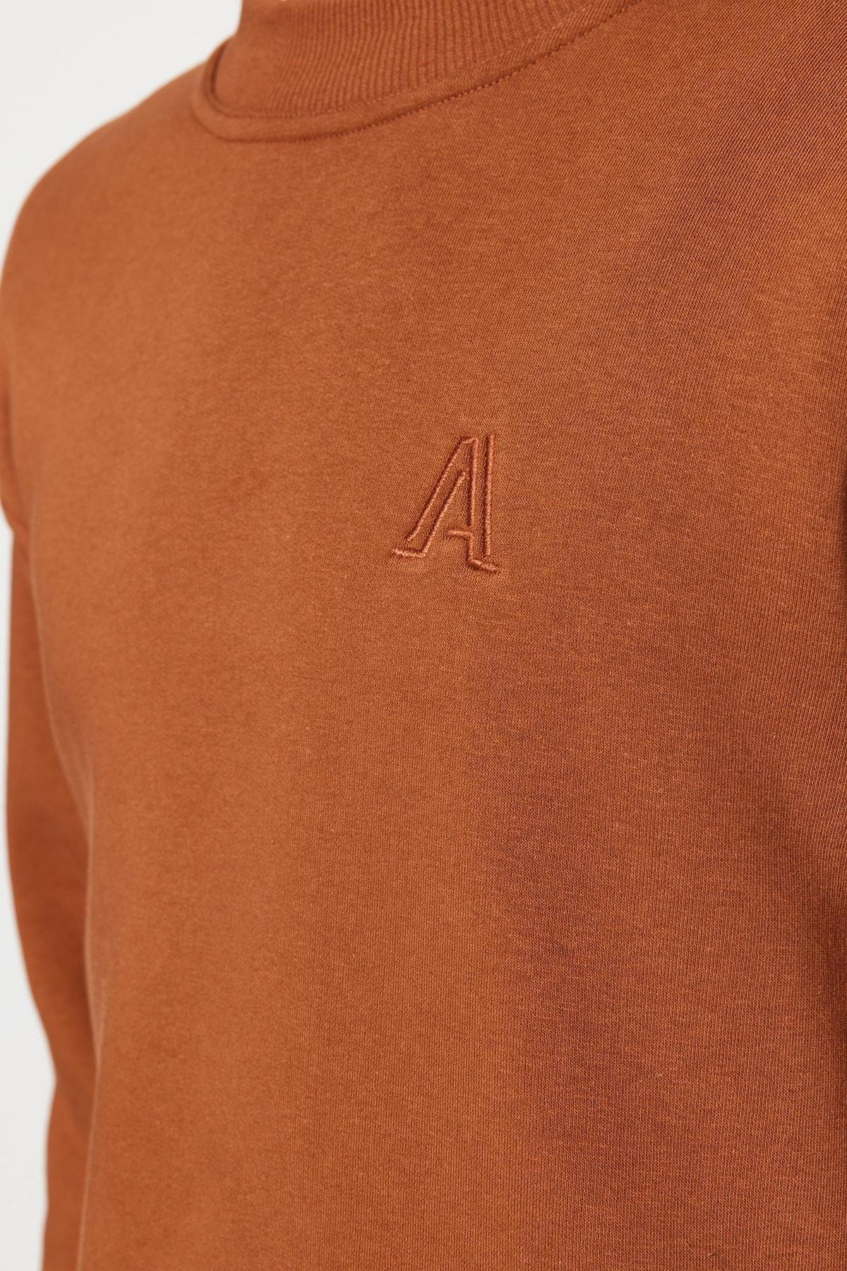 Brown Turtleneck Relaxed Sweatshirt, C101_1539, large image number 2
