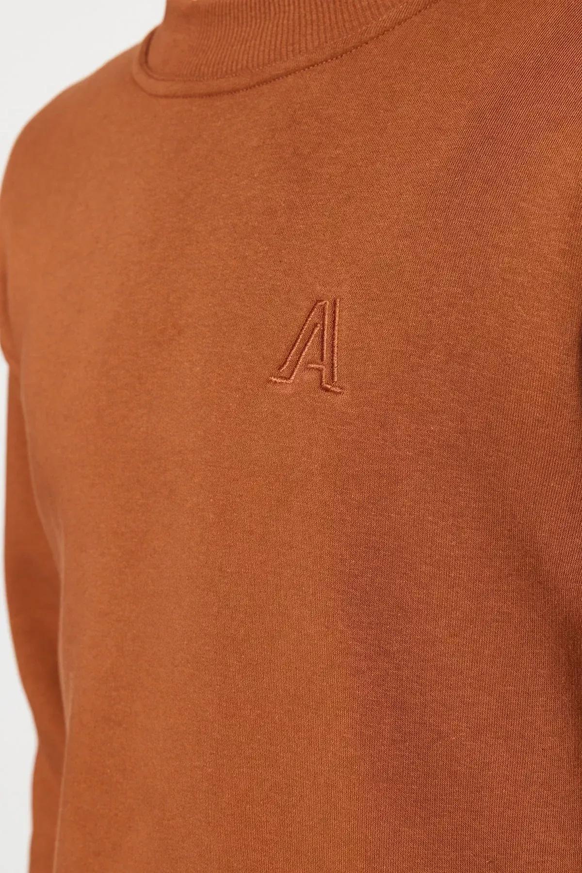 Brown Turtleneck Relaxed Sweatshirt, , large image number 2