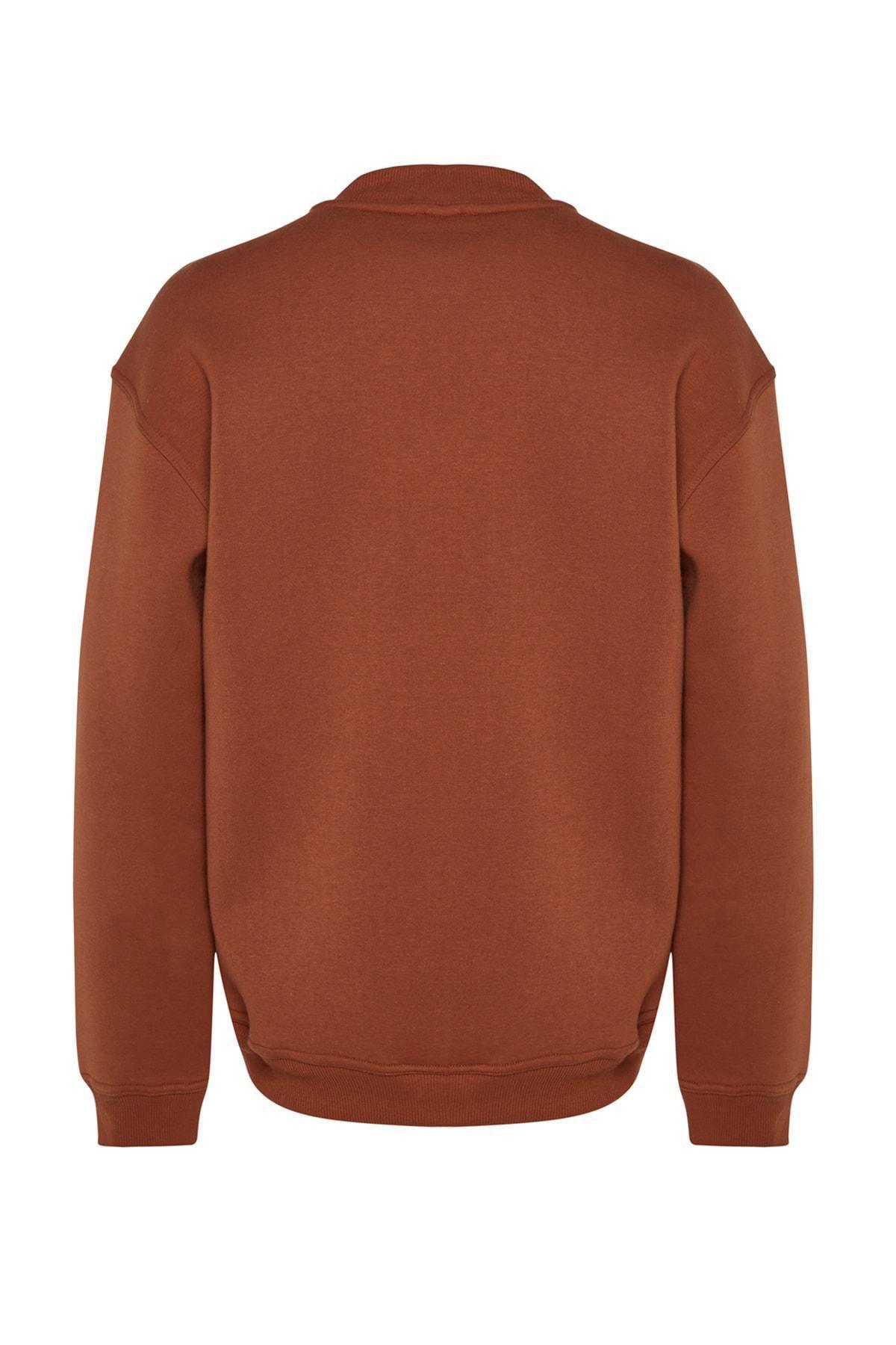 Brown Turtleneck Relaxed Sweatshirt, C101_1539, large image number 6