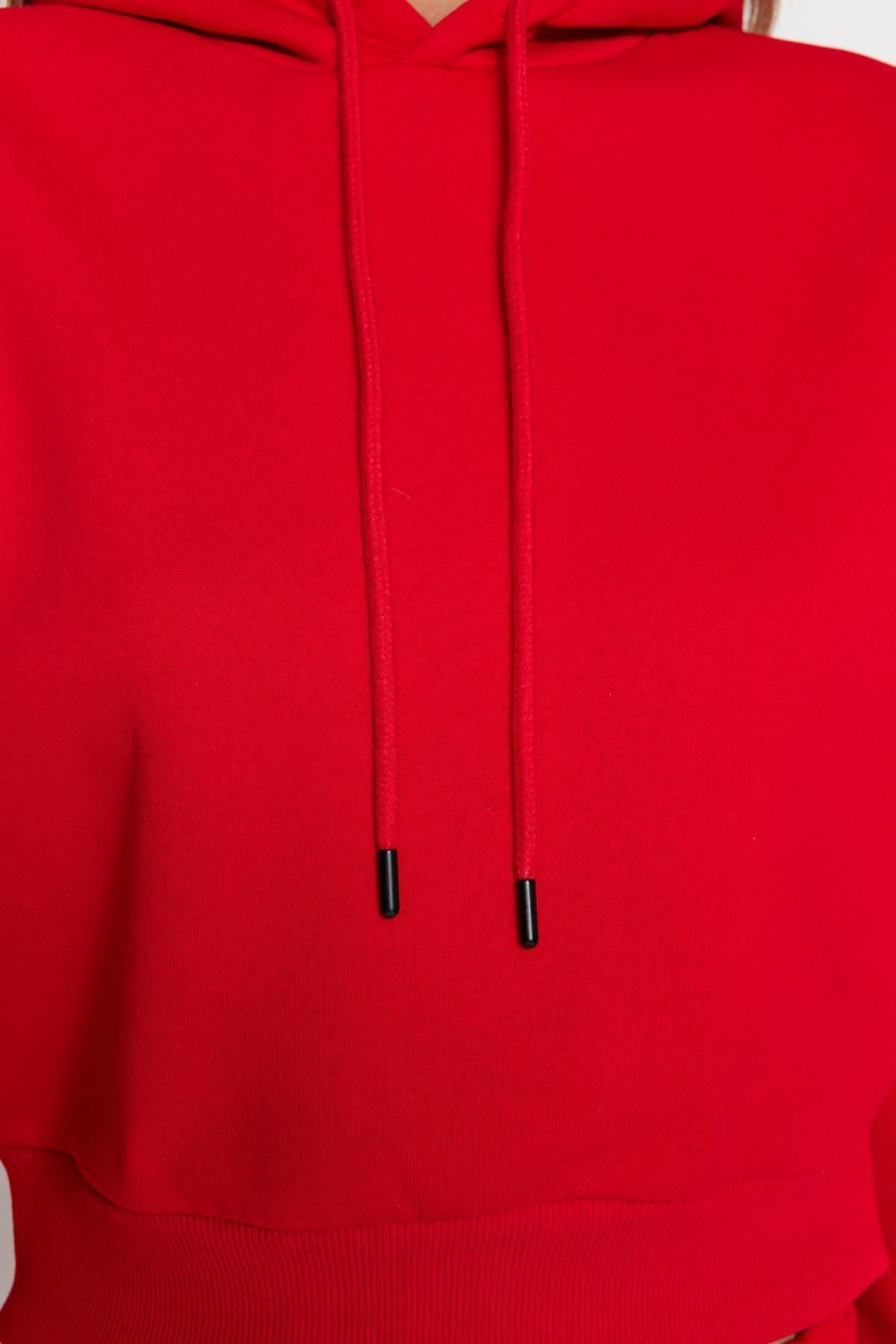 Red Thick Fleece Hoodie, , large image number 4