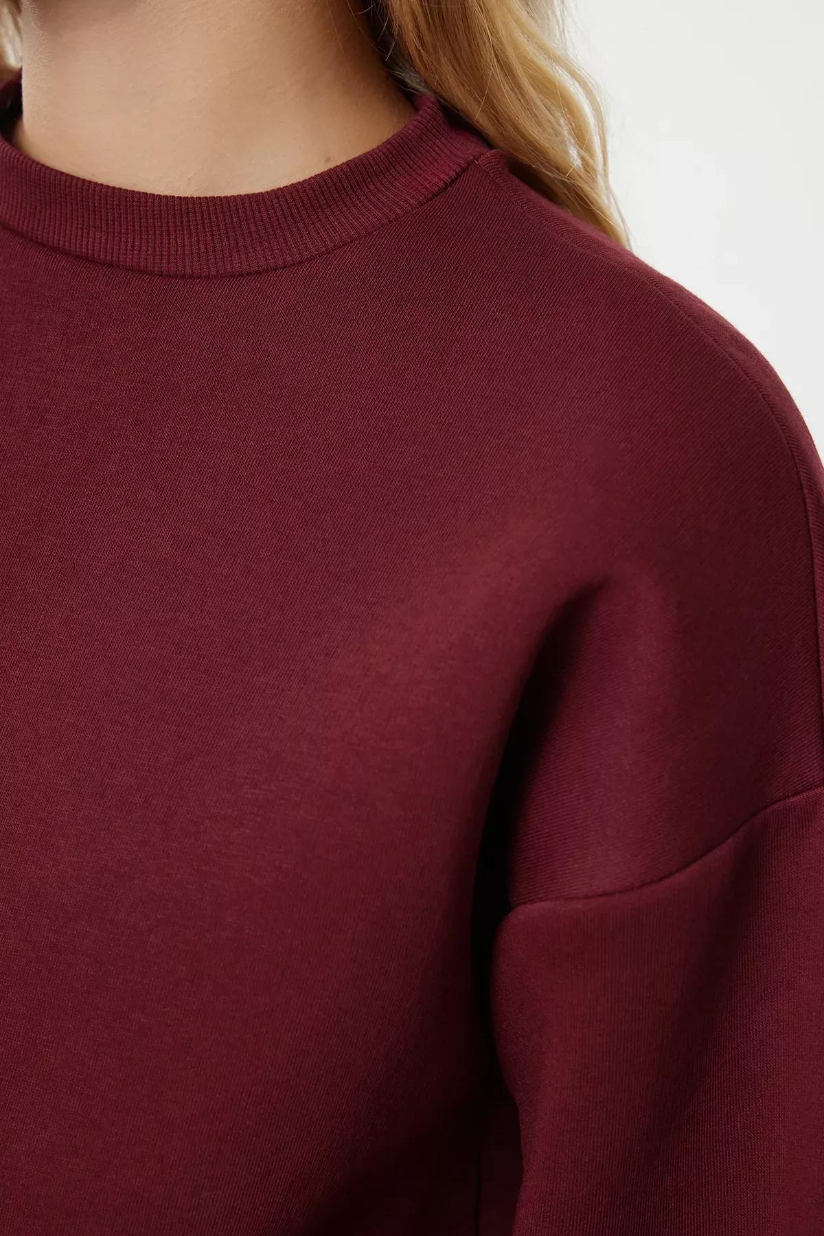 Red Polar Inside Sweatshirt, Burgundy, large image number 3