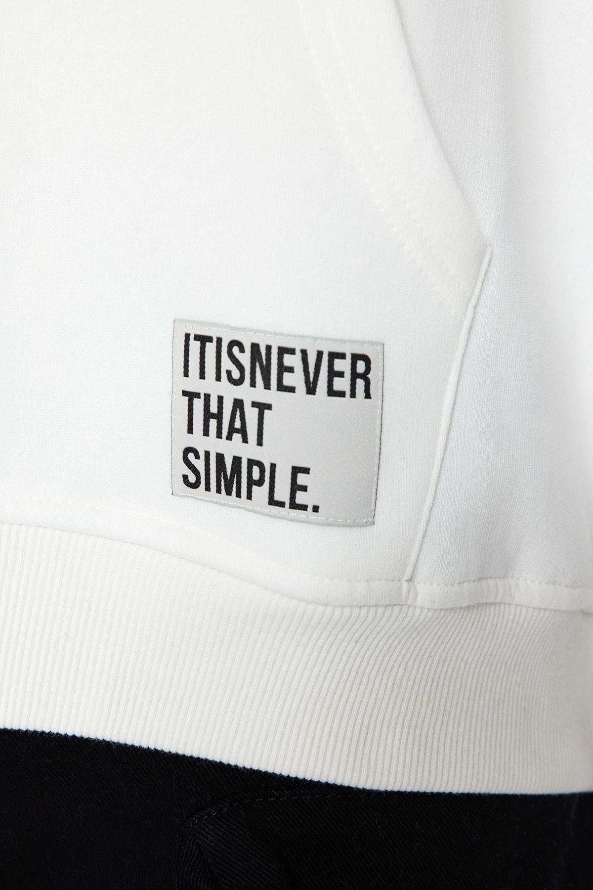 White Oversized Hoodie, , large image number 4