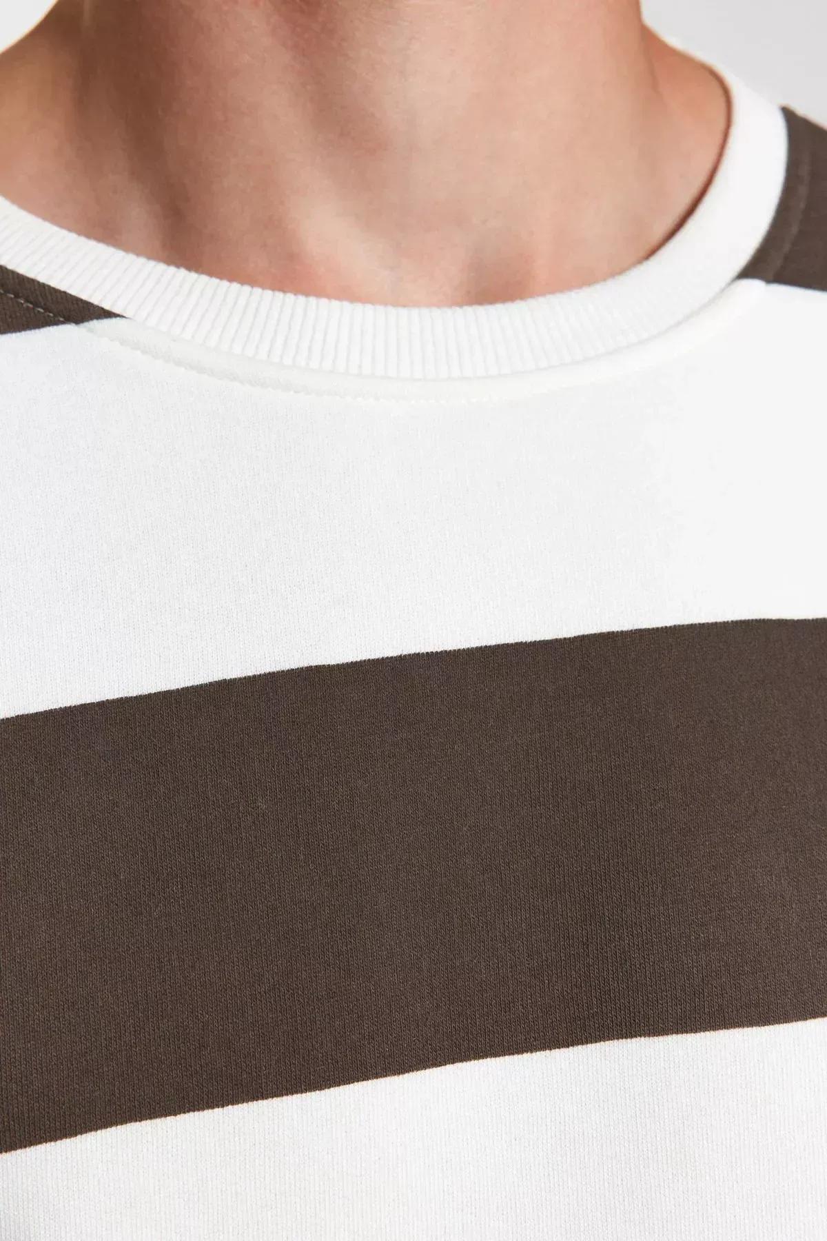 Beige Striped Oversized Sweatshirt, , large image number 4