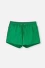 Dagi - Green Micro Straight Shorts