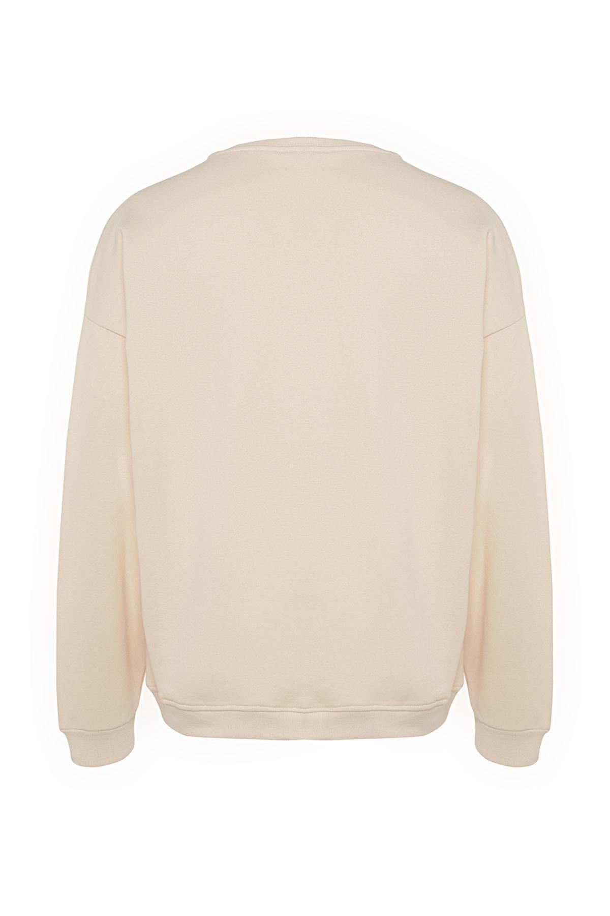 Beige Oversized Dinosaur Embroidered Sweatshirt, , large image number 7
