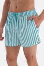 Dagi - Multicolour Striped Medium Shorts