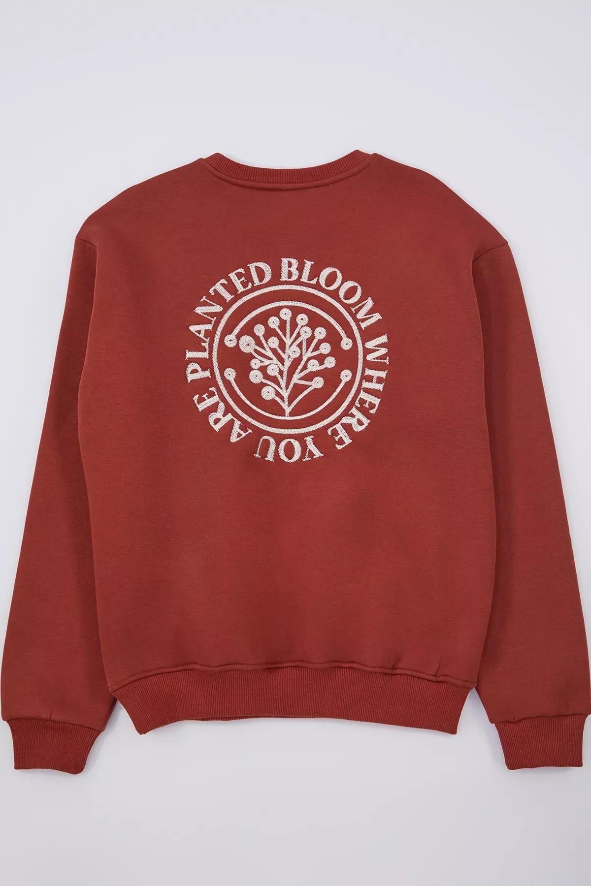 Red Embroidered Polar Fleece Sweatshirt, Tile, large image number 6