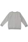 Denokids - Grey Printed Sweatshirt, Kids Boys