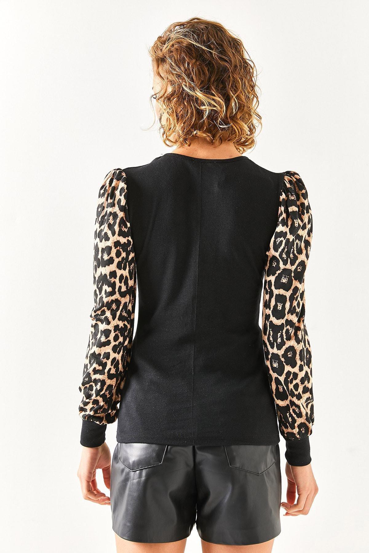 Black V-Neck Leopard Garnish Lycra Blouse, , large image number 5