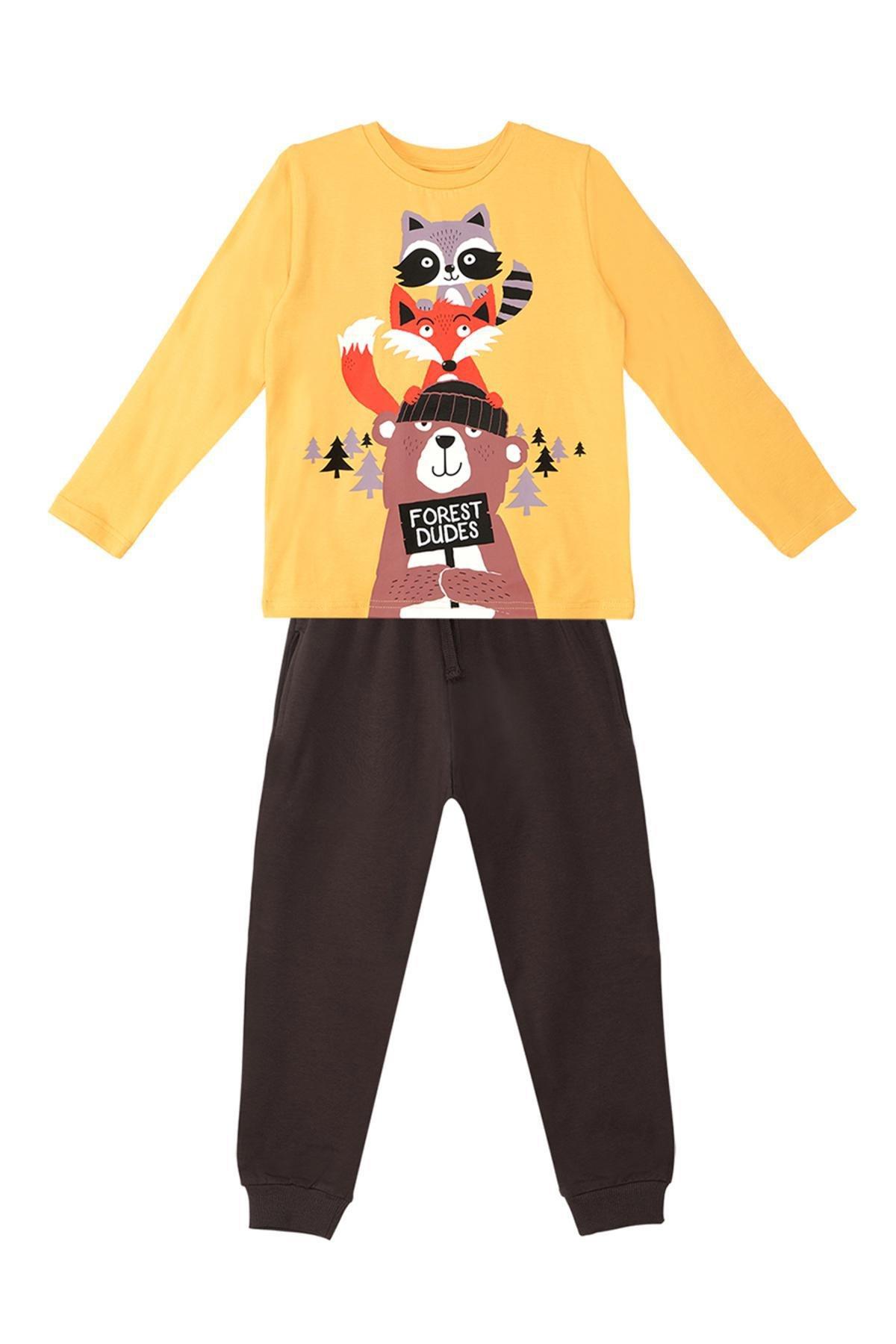 Denokids - Multicolour Printed Pyjamas Set, Kids Boys