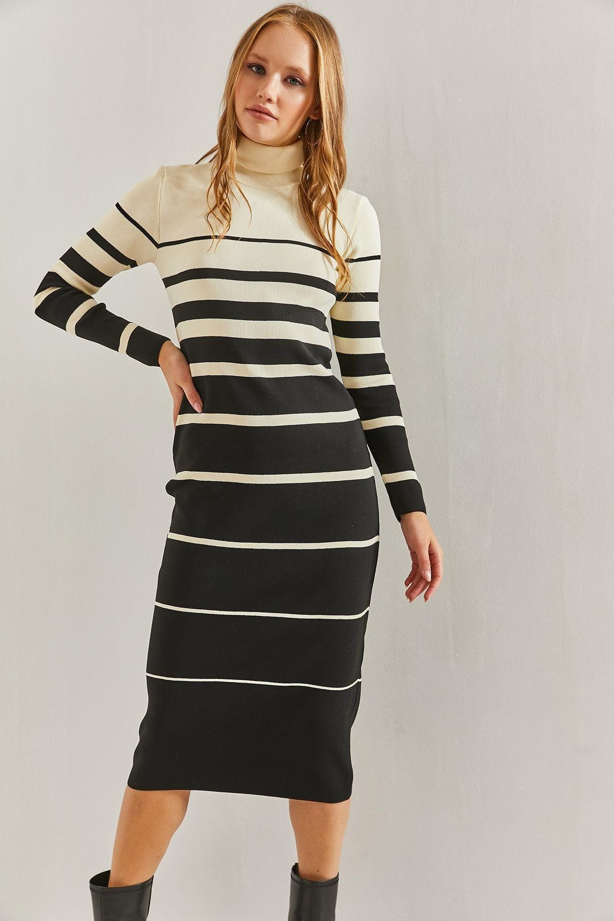 Multicolour Turtleneck Striped Dress, C101_1458, large image number 0