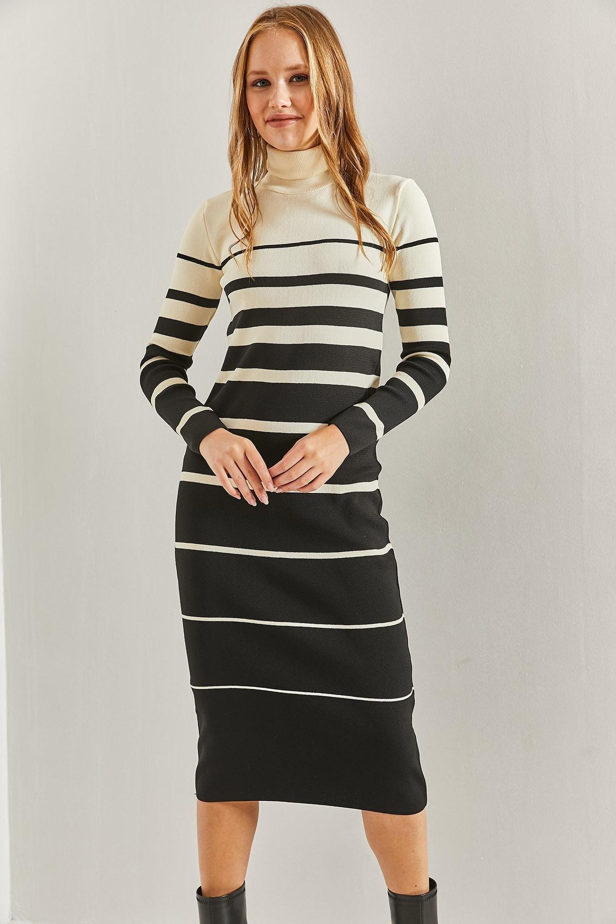 Multicolour Turtleneck Striped Dress, C101_1458, large image number 1