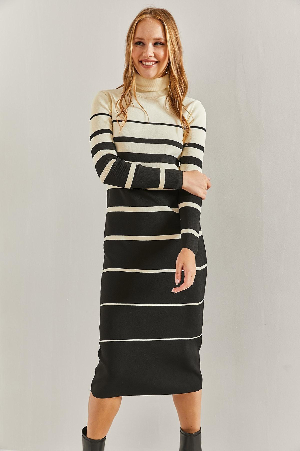 Multicolour Turtleneck Striped Dress, C101_1458, large image number 2