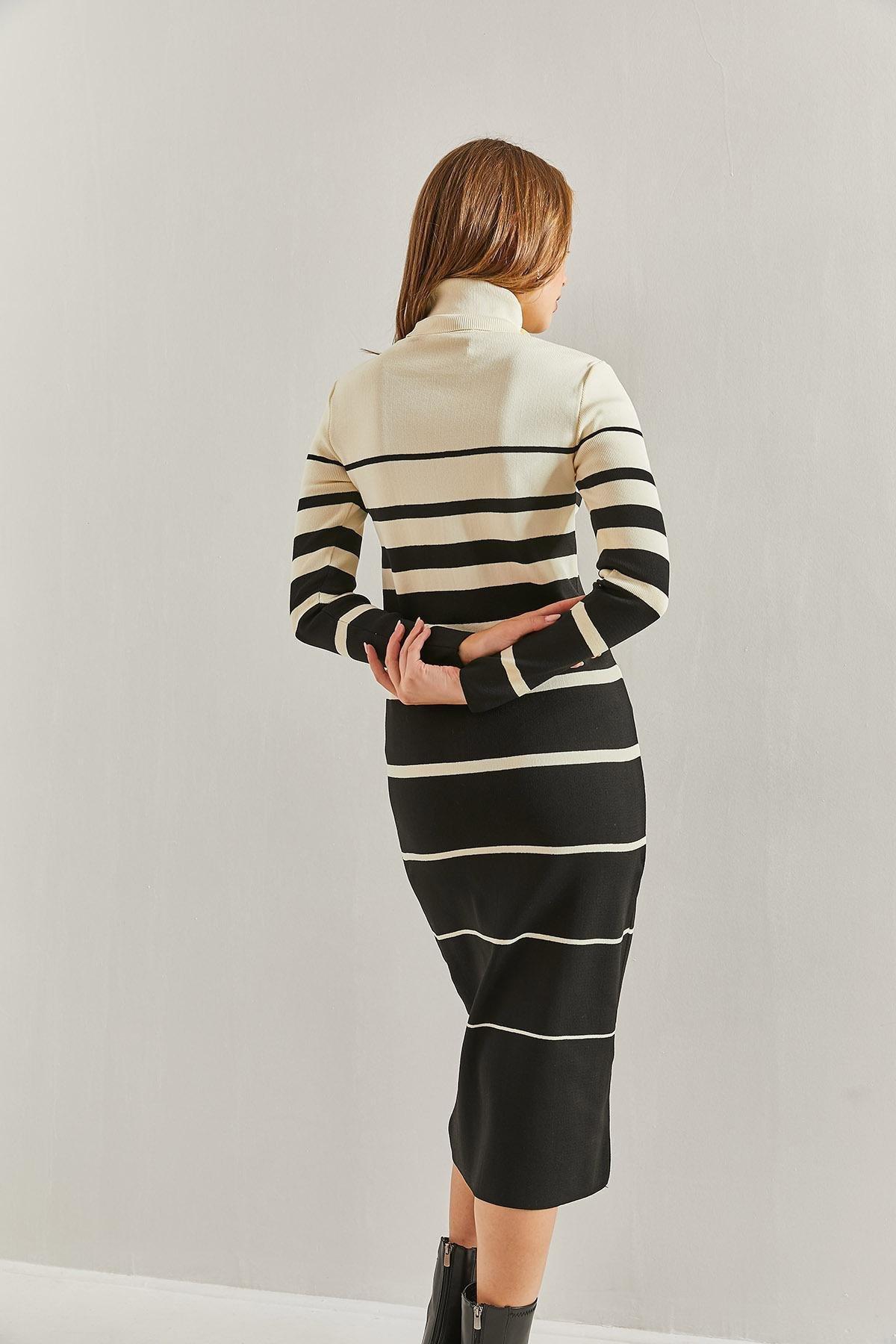 Multicolour Turtleneck Striped Dress, C101_1458, large image number 3