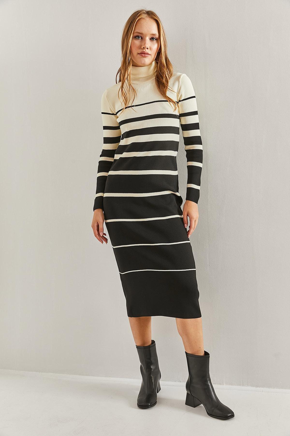 Multicolour Turtleneck Striped Dress, C101_1458, large image number 4