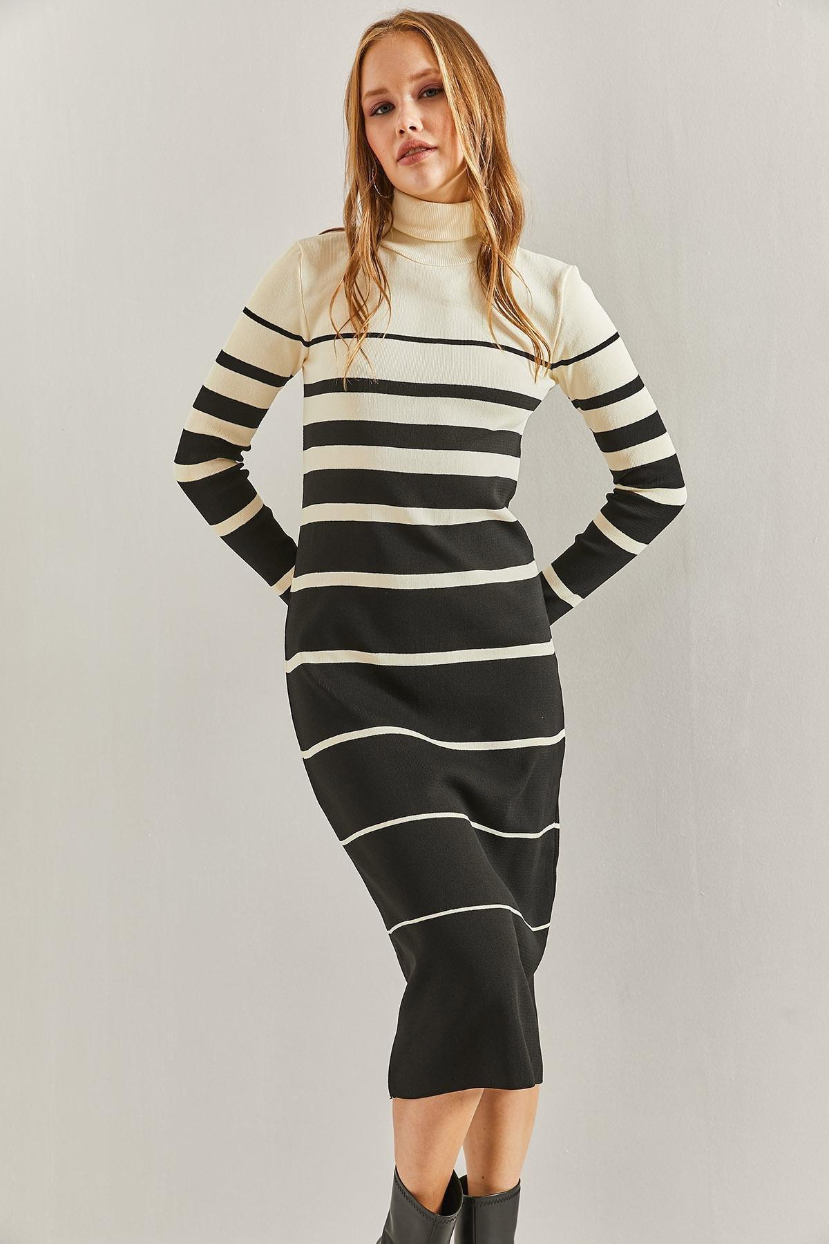 Multicolour Turtleneck Striped Dress, C101_1458, large image number 5