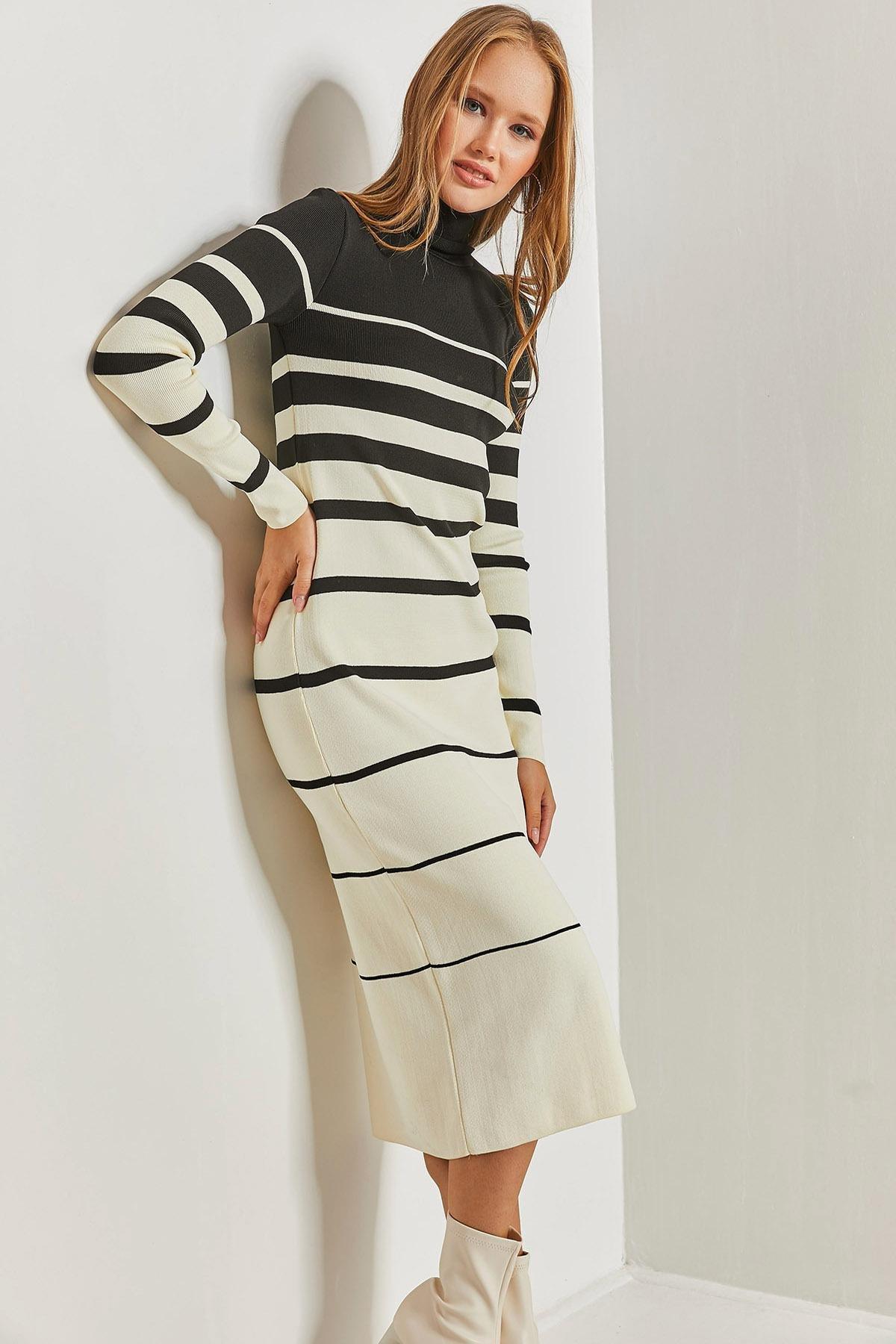 Multicolour Turtleneck Striped Dress, C101_1881, large image number 0
