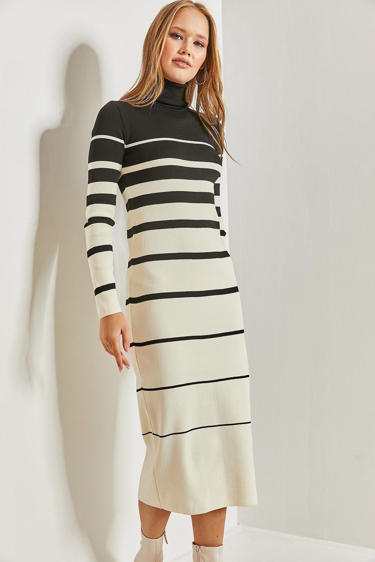 Multicolour Turtleneck Striped Dress, C101_1881, large image number 1