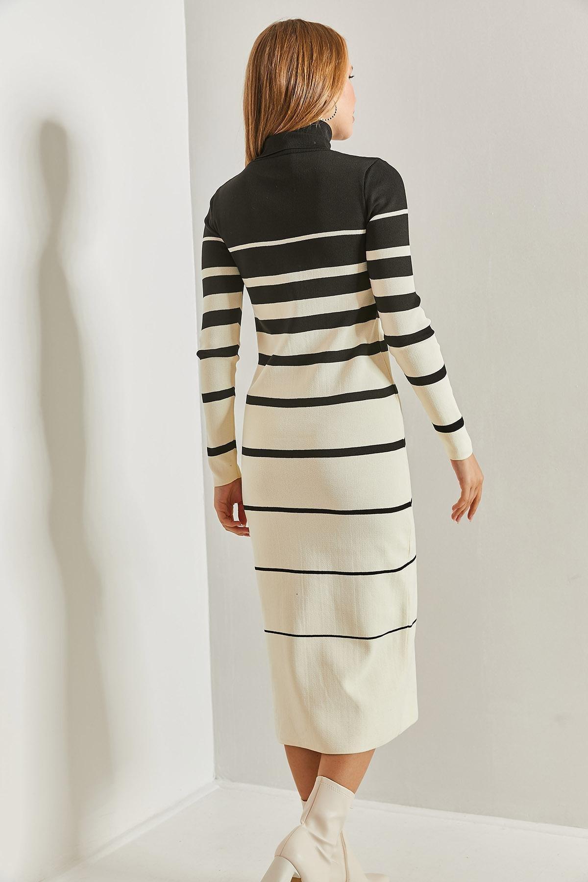 Multicolour Turtleneck Striped Dress, C101_1881, large image number 2