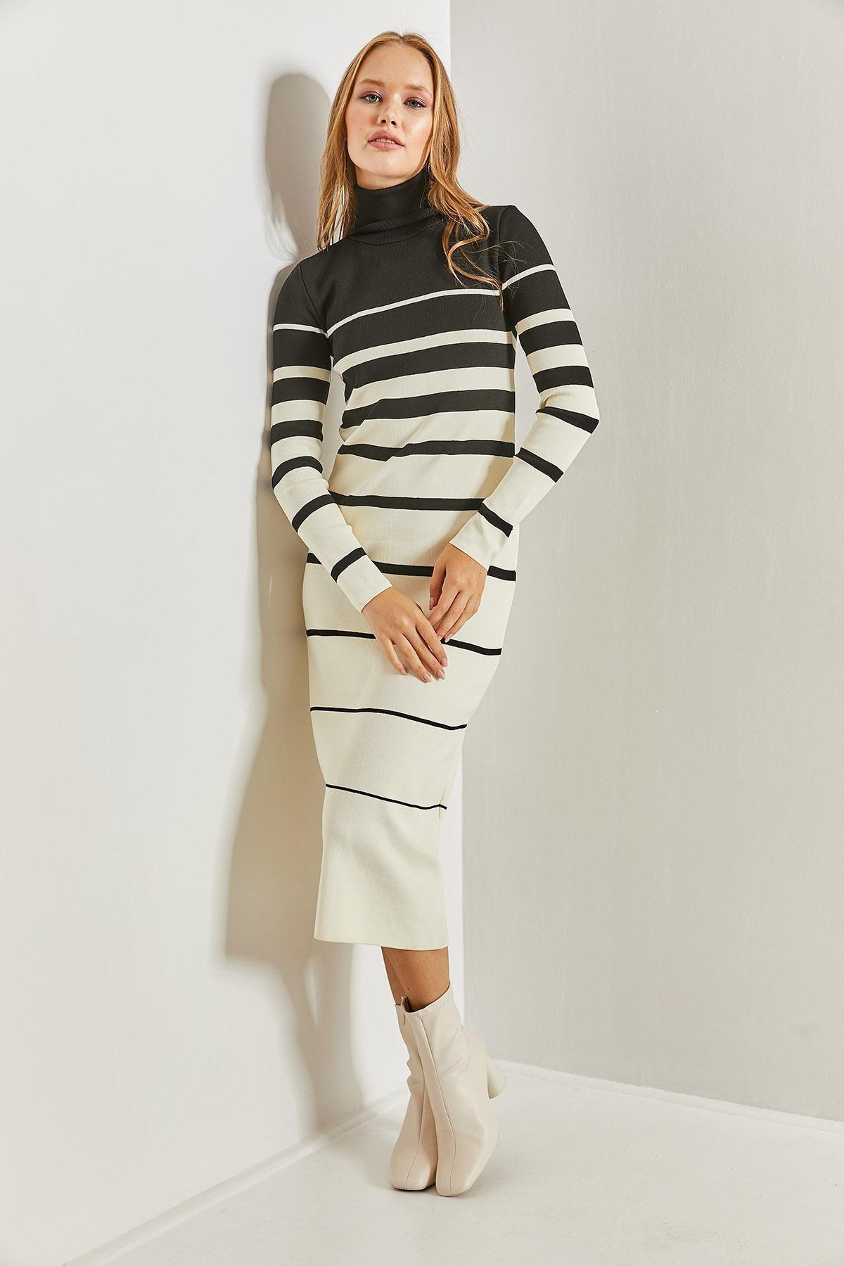 Multicolour Turtleneck Striped Dress, C101_1881, large image number 3
