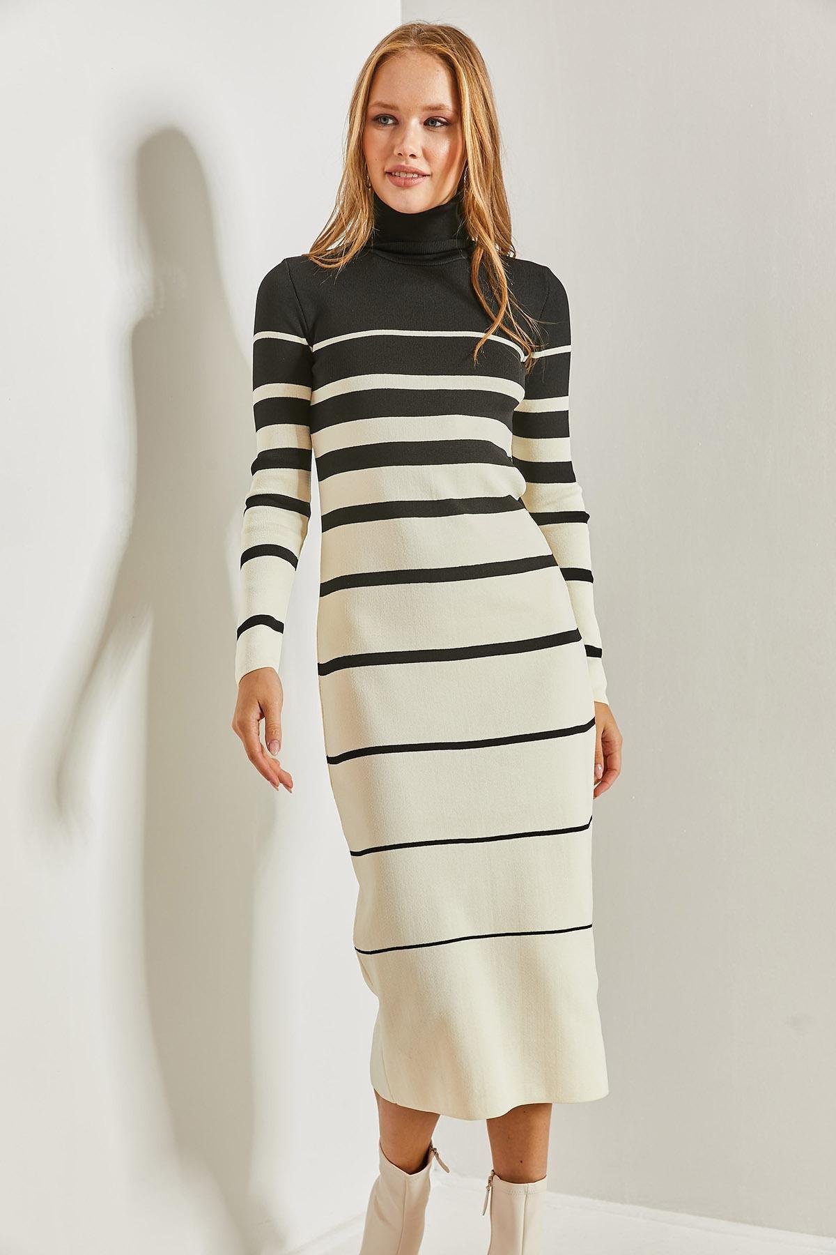Multicolour Turtleneck Striped Dress, C101_1881, large image number 4