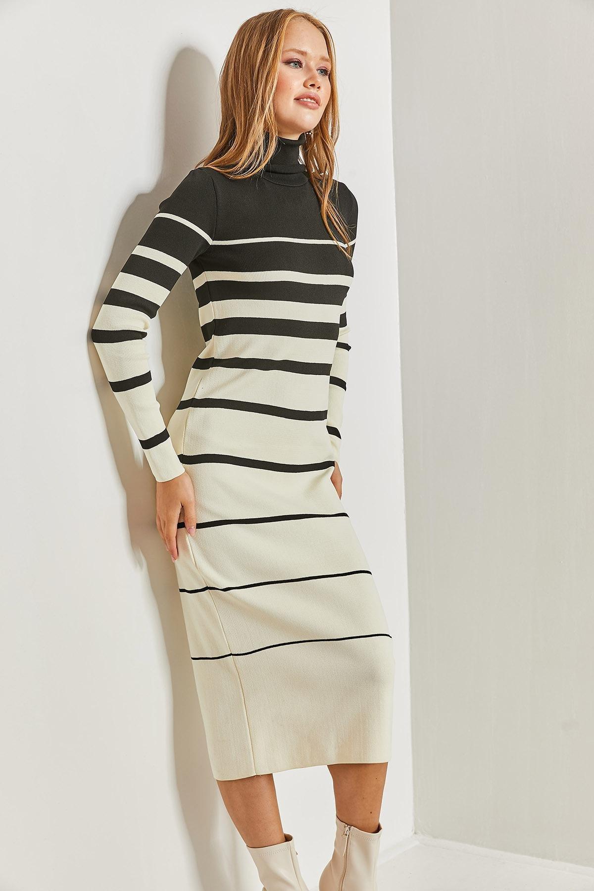 Multicolour Turtleneck Striped Dress, C101_1881, large image number 5
