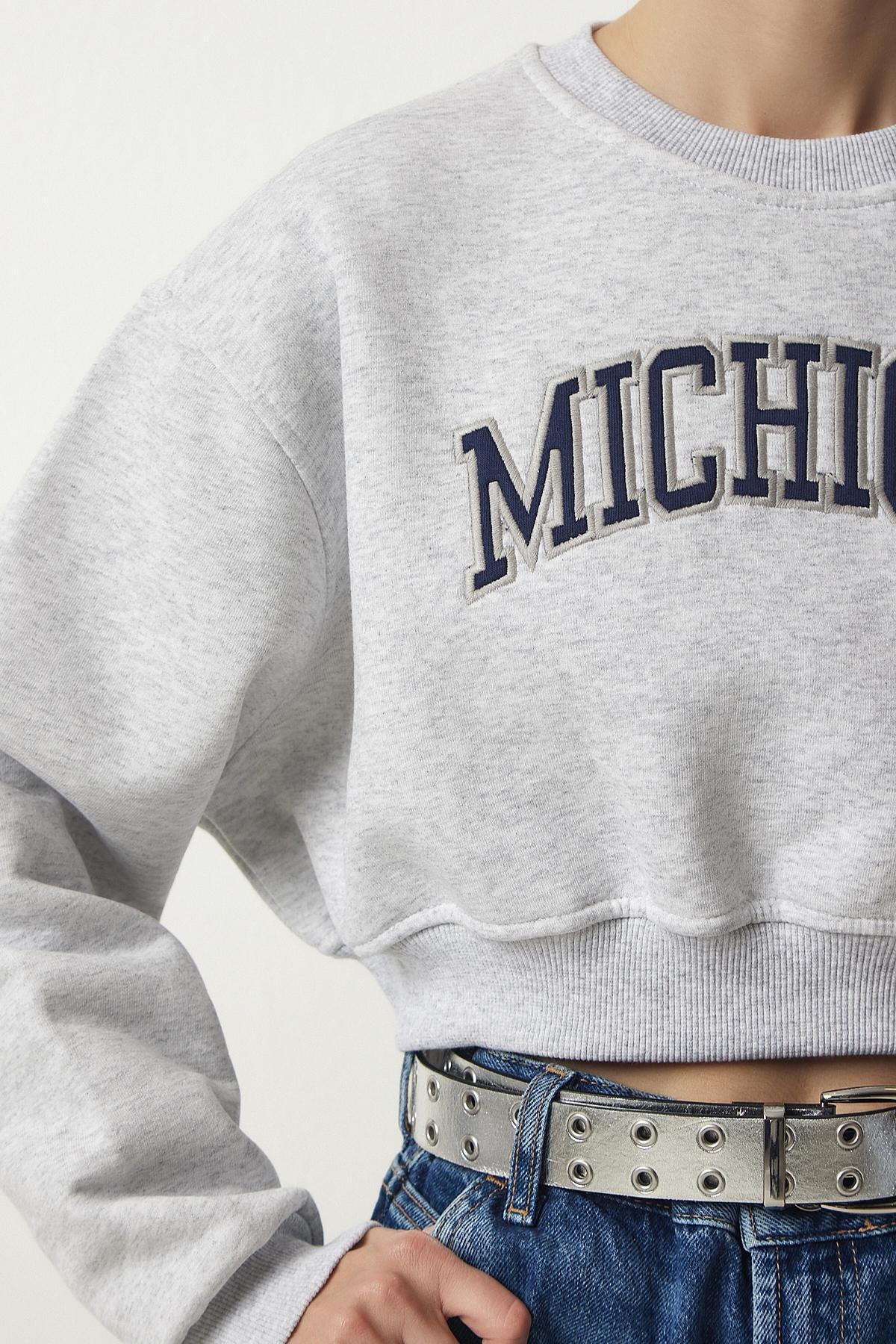 Grey Printed Raised Crop Knitted Sweatshirt, C101_1653, large image number 3