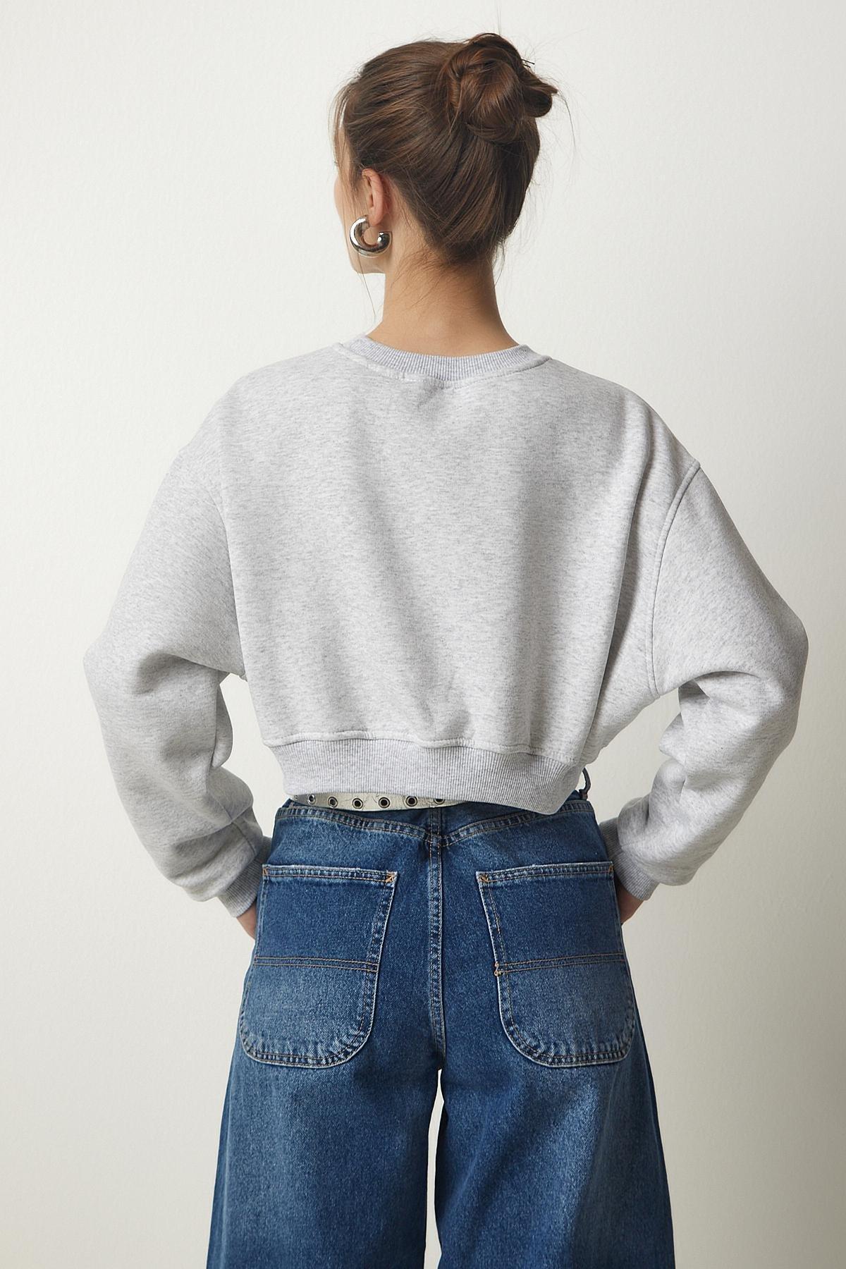 Grey Printed Raised Crop Knitted Sweatshirt, C101_1653, large image number 4