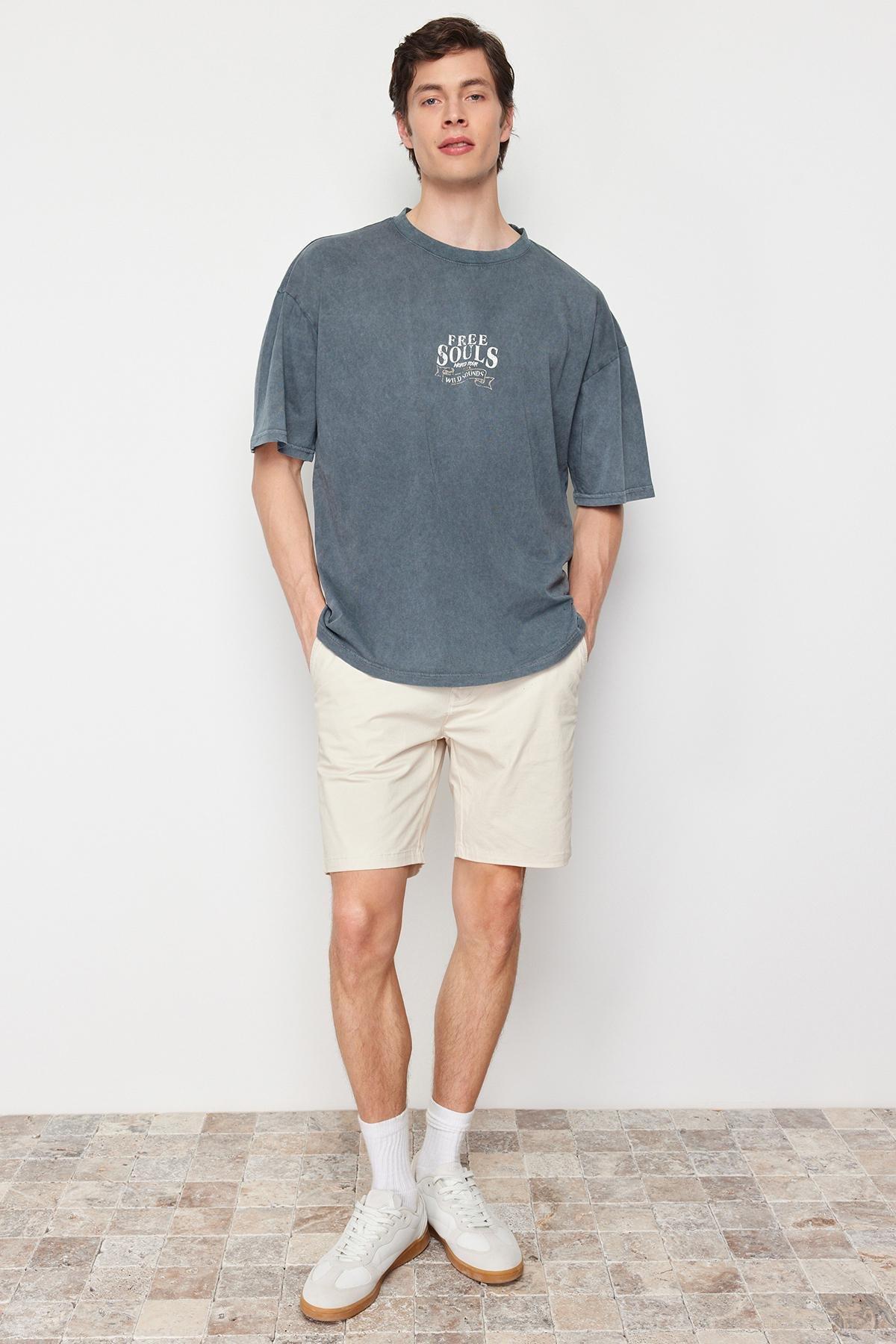 Grey Oversized Pale Eagle-Writing T-Shirt, , large image number 1