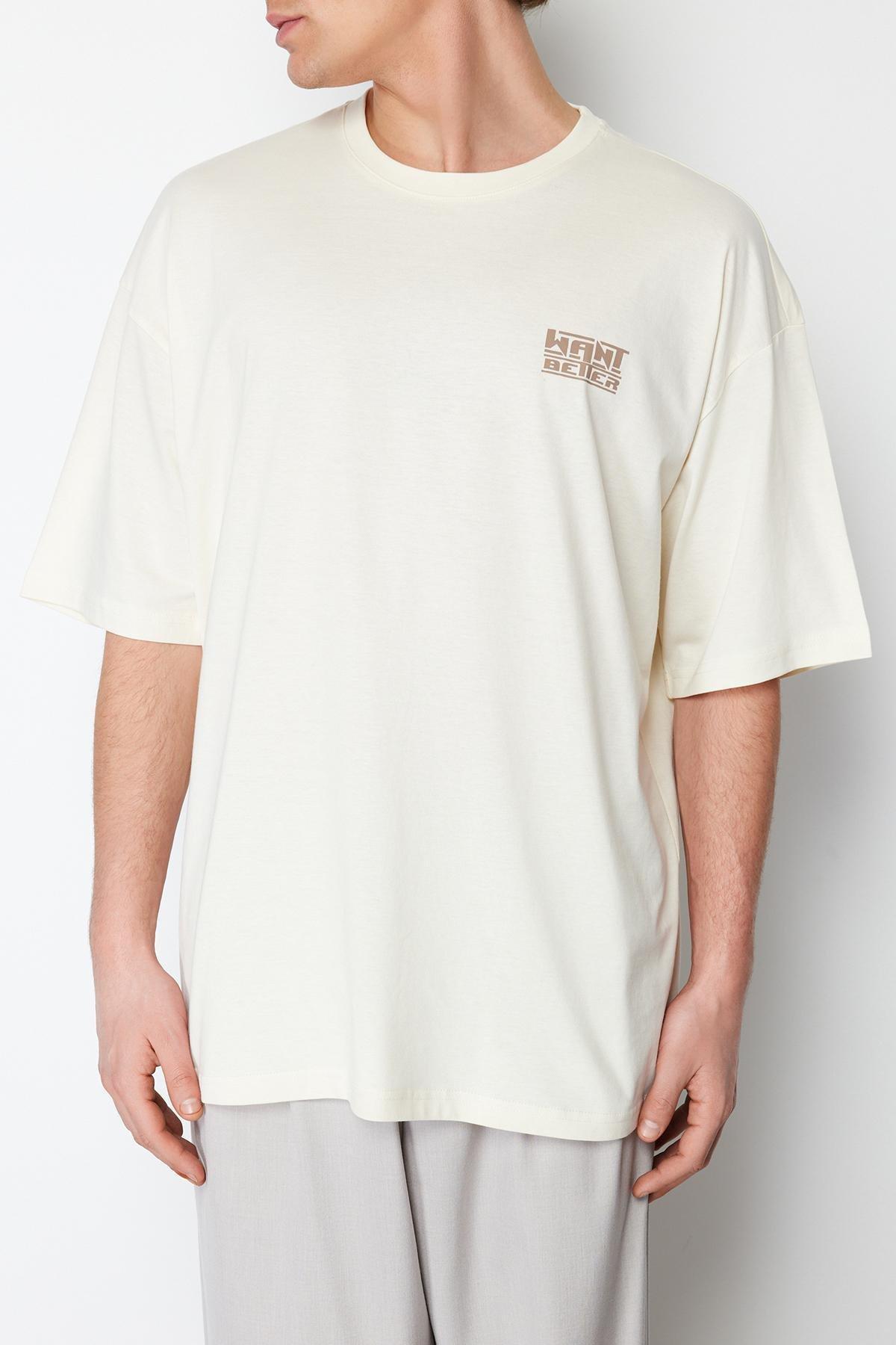 Beige Oversize Text Back Printed T-Shirt, C101_1948, large image number 4