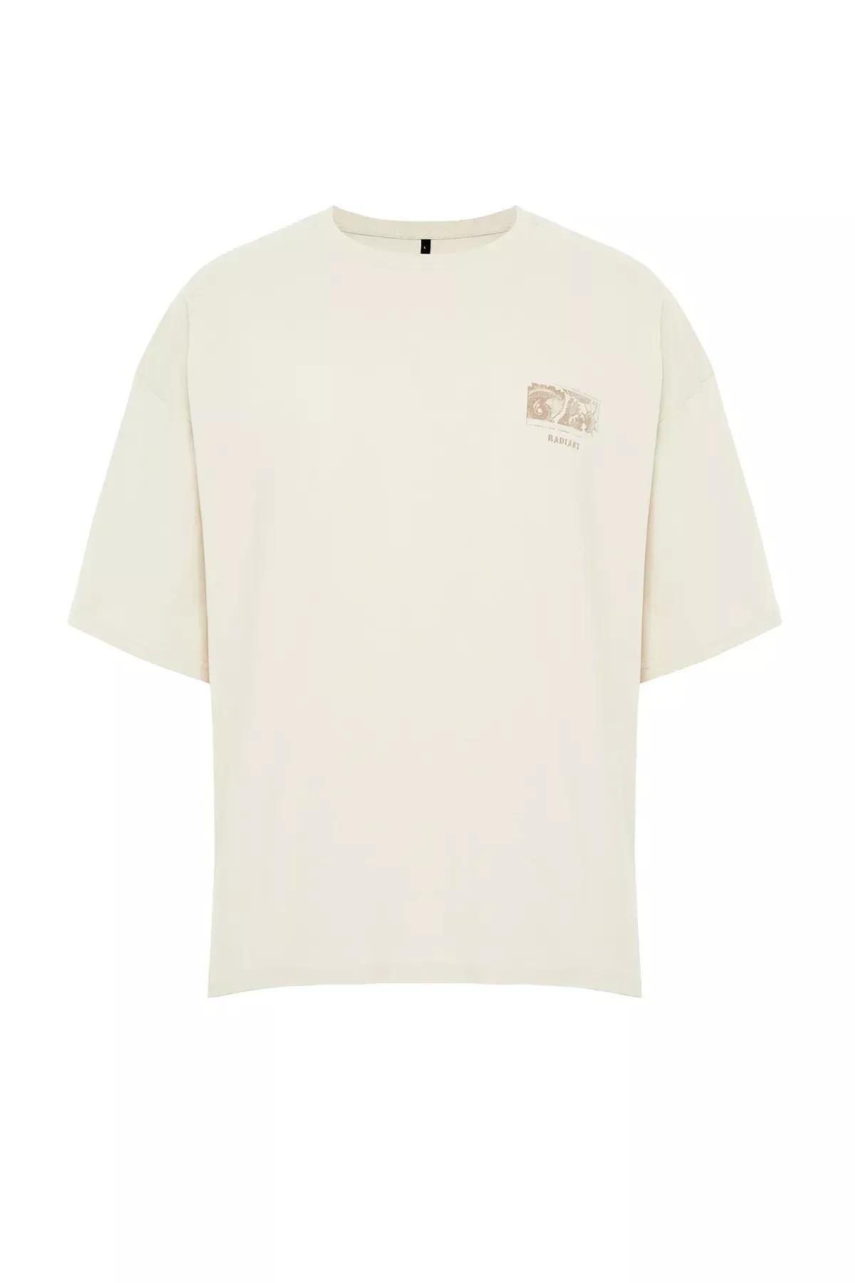 Beige Oversized Printed T-Shirt, Unisex, , large image number 6