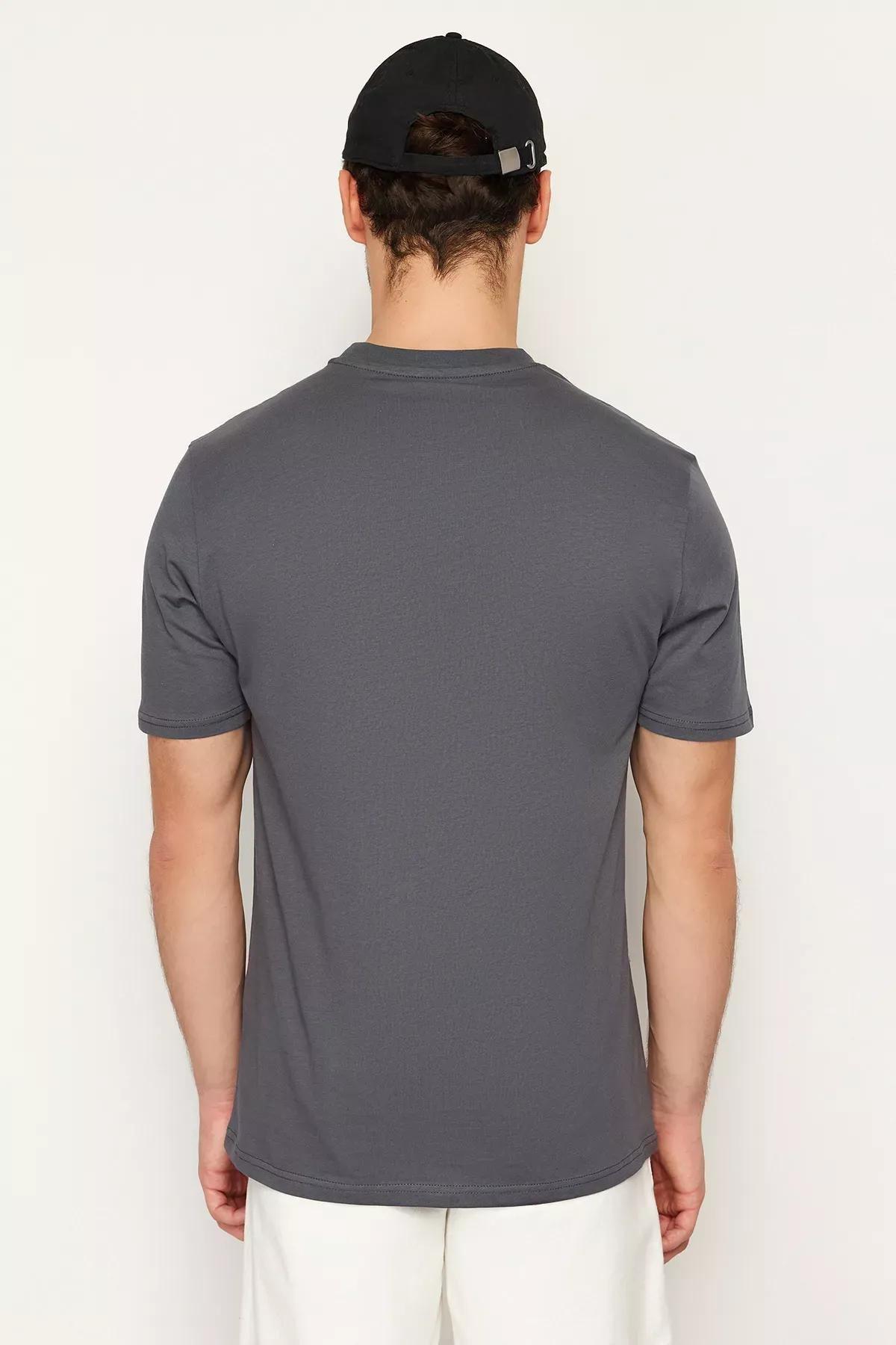 Grey Short Sleeve Embroidered T-Shirt, , large image number 7