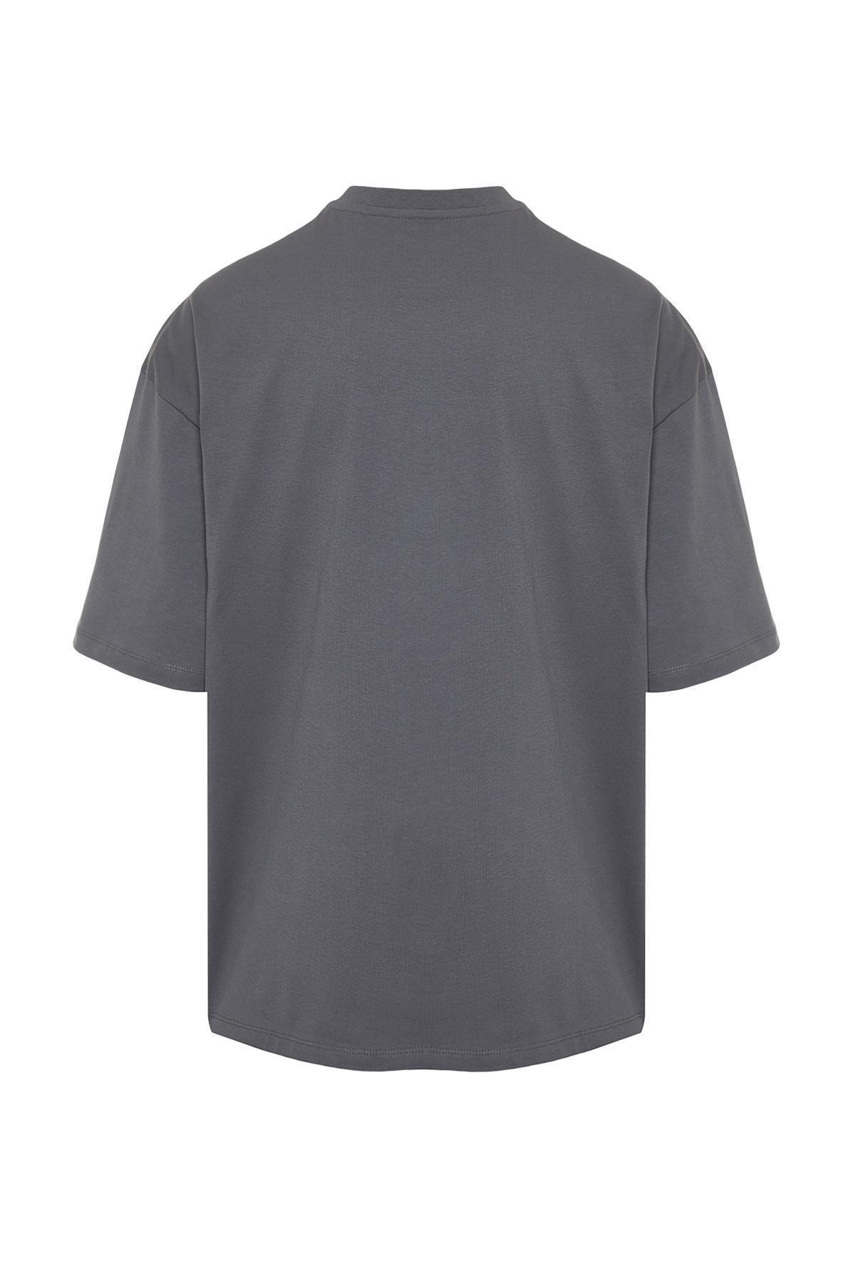 Grey Oversize Embroidered T-Shirt, , large image number 6