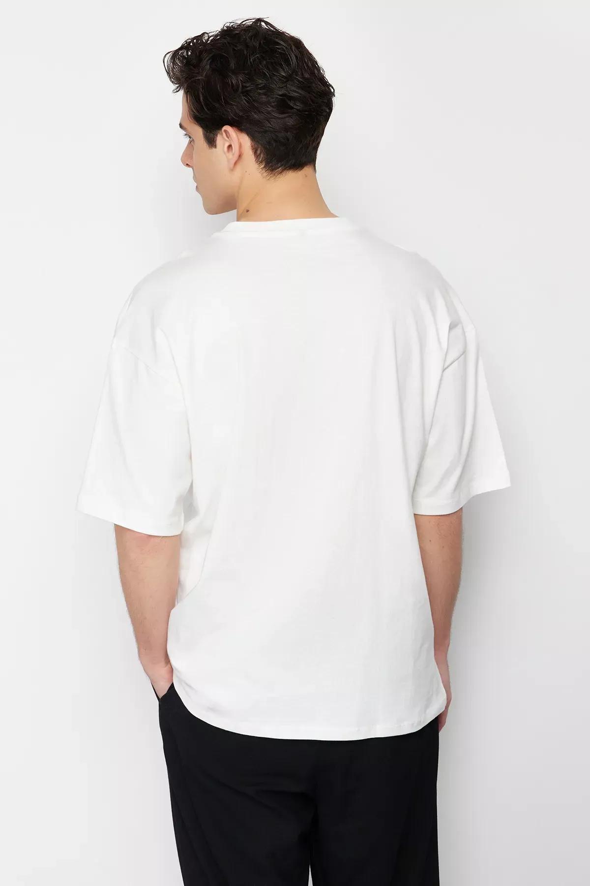 Beige Oversize Embroidered T-Shirt, Ecru, large image number 3