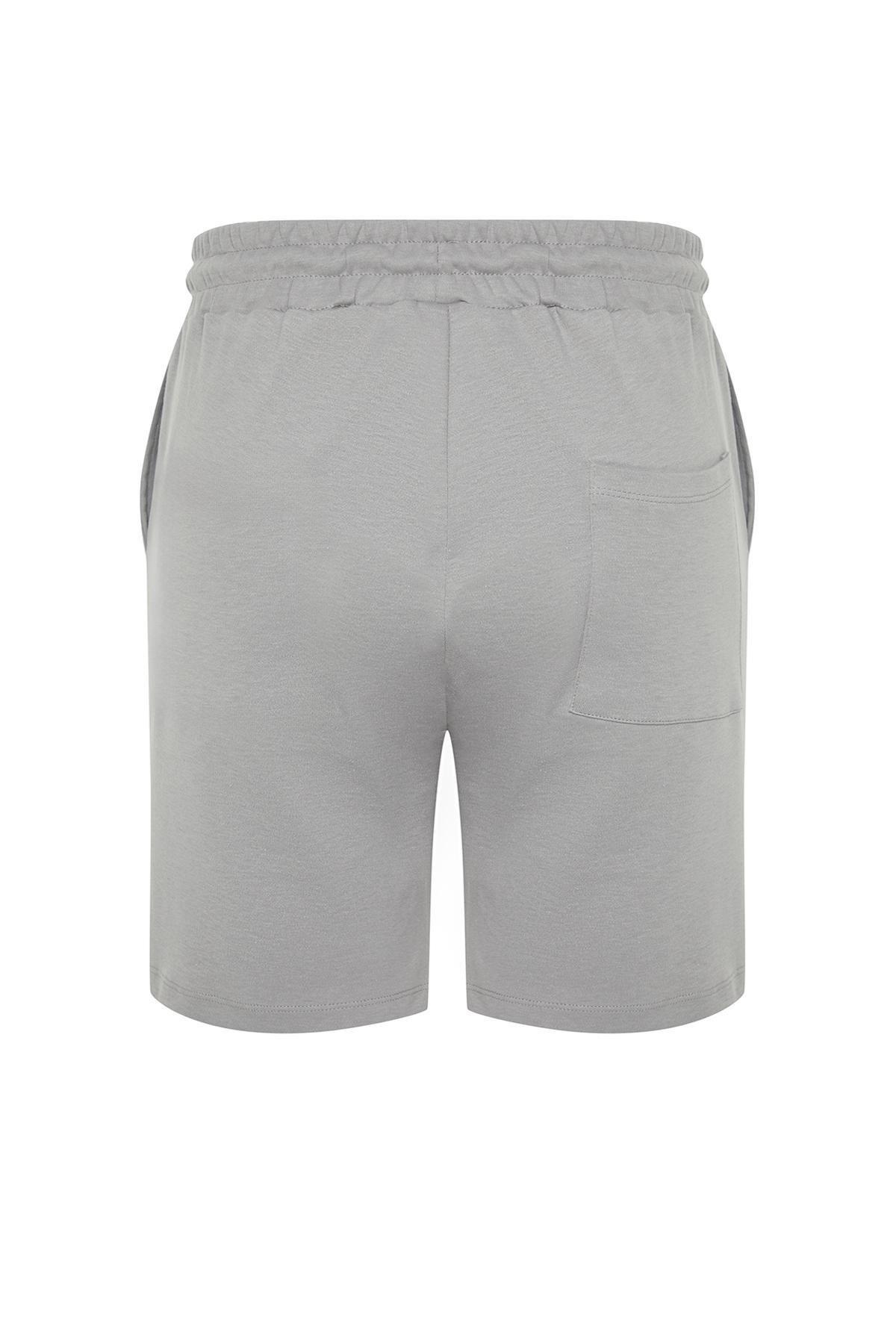Gray Regular Cut Printed Shorts with Stitching Detail TMNSS24SR00023, C101_2632, large image number 5