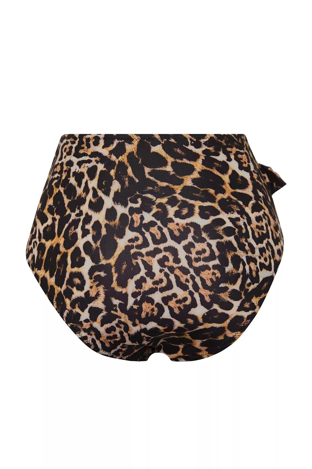 Brown Leopard Print High-Waist Bikini Bottom, , large image number 5