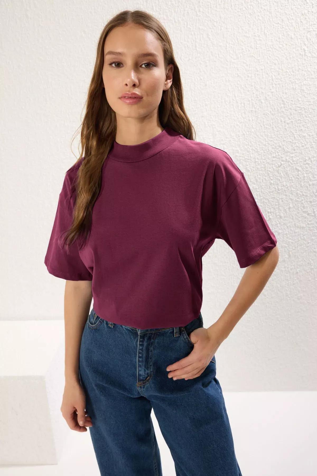 Red Red Stand Collar T-Shirt, Dark Cherry, large image number 0
