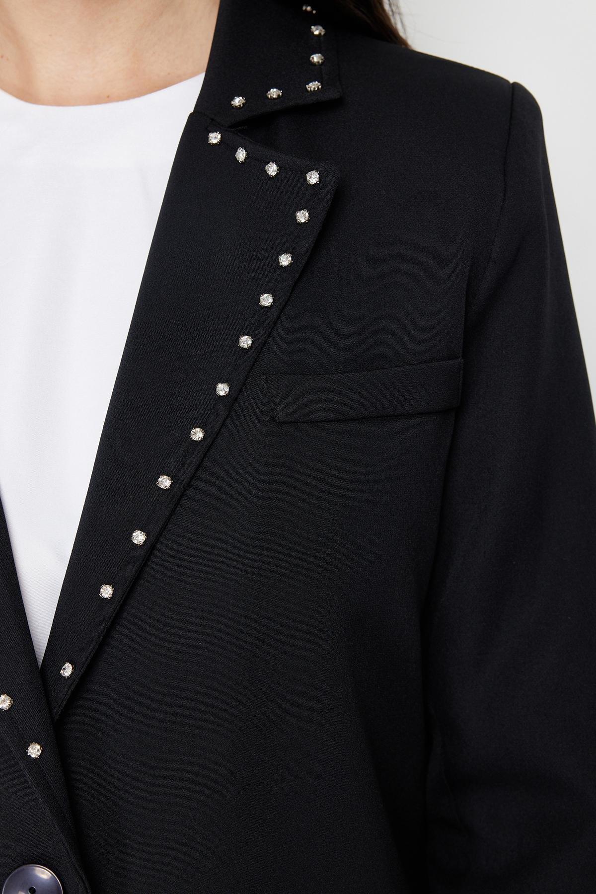 Black Collared Detailed Lined Jacket, , large image number 3