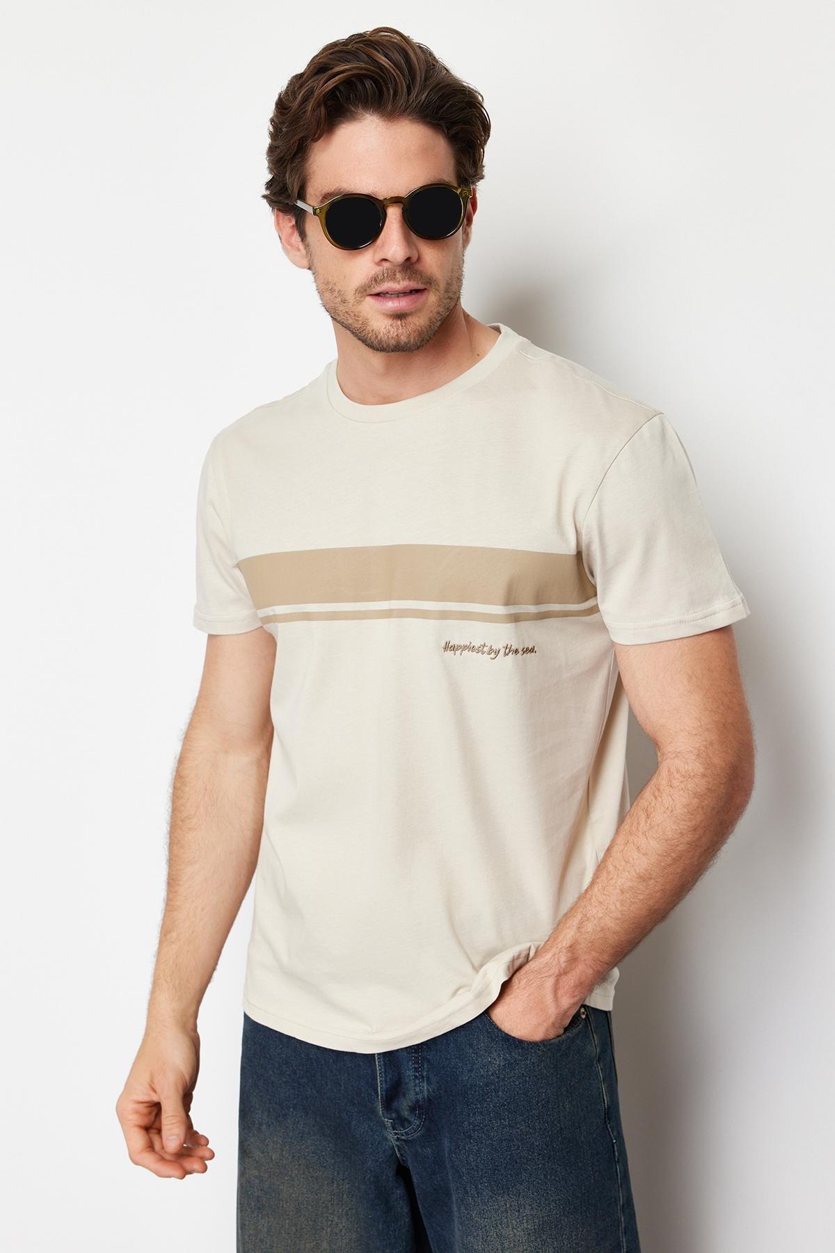 Stone Regular Cut Crew Neck Short Sleeve Striped Printed 100% Cotton T-shirt TMNSS24TS00059, , large image number 1