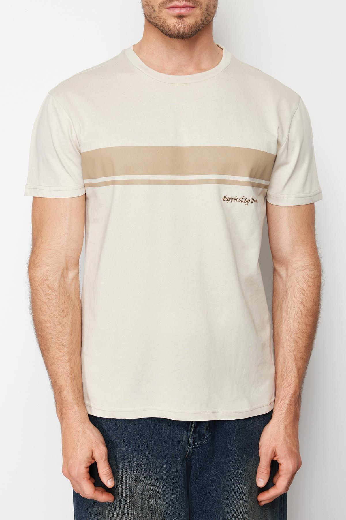 Stone Regular Cut Crew Neck Short Sleeve Striped Printed 100% Cotton T-shirt TMNSS24TS00059, , large image number 2