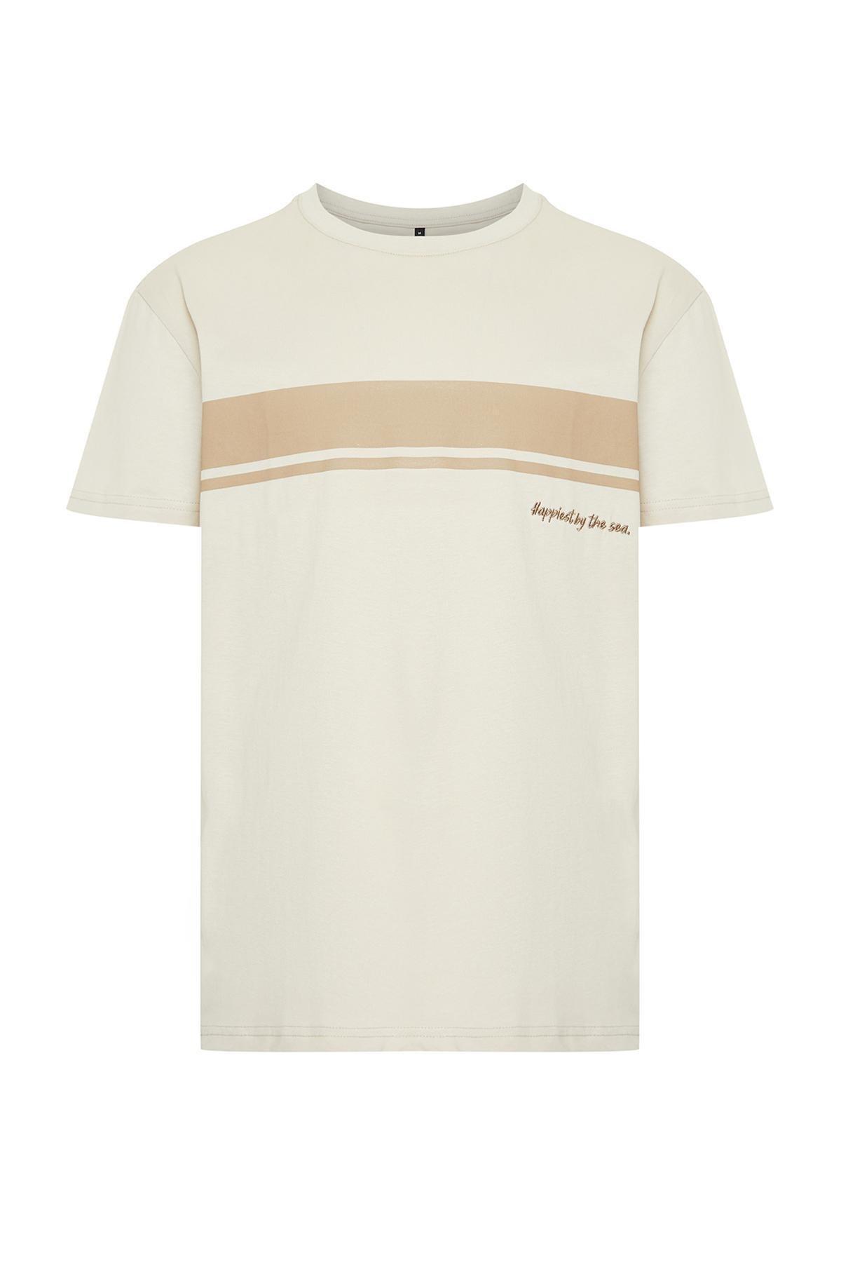 Stone Regular Cut Crew Neck Short Sleeve Striped Printed 100% Cotton T-shirt TMNSS24TS00059, , large image number 4