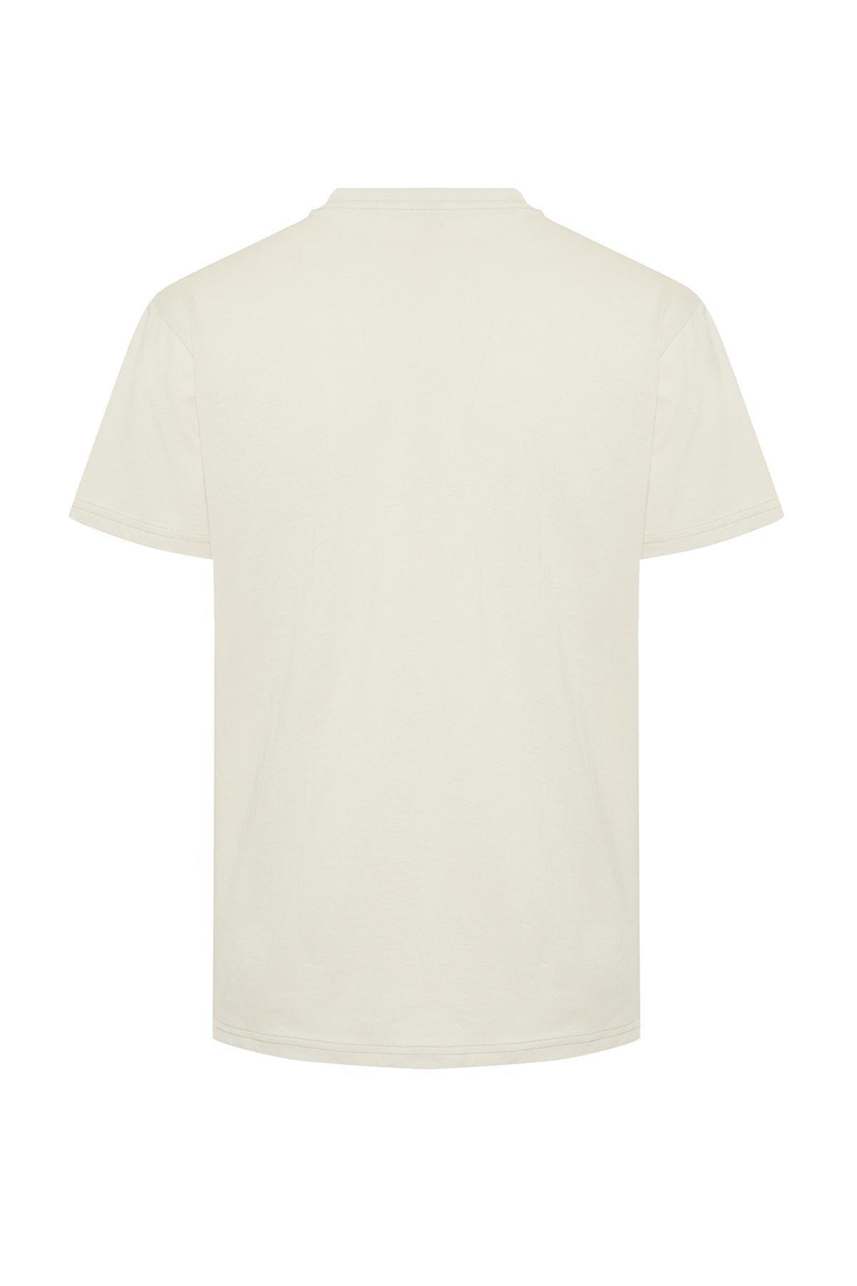 Stone Regular Cut Crew Neck Short Sleeve Striped Printed 100% Cotton T-shirt TMNSS24TS00059, , large image number 5