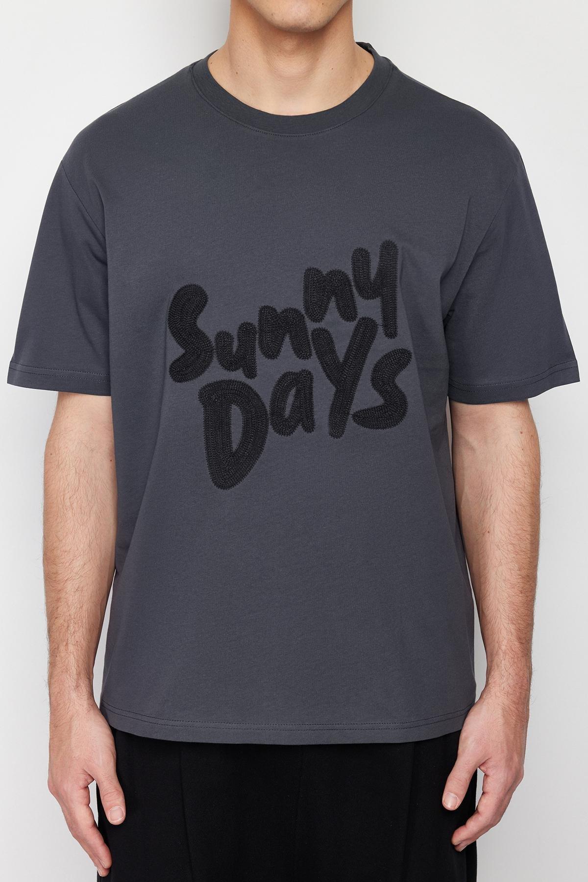 Anthracite Oversize/Wide Cut Text Embroidered 100% Cotton Short Sleeve T-Shirt TMNSS24TS00136, C101_1435, large image number 3