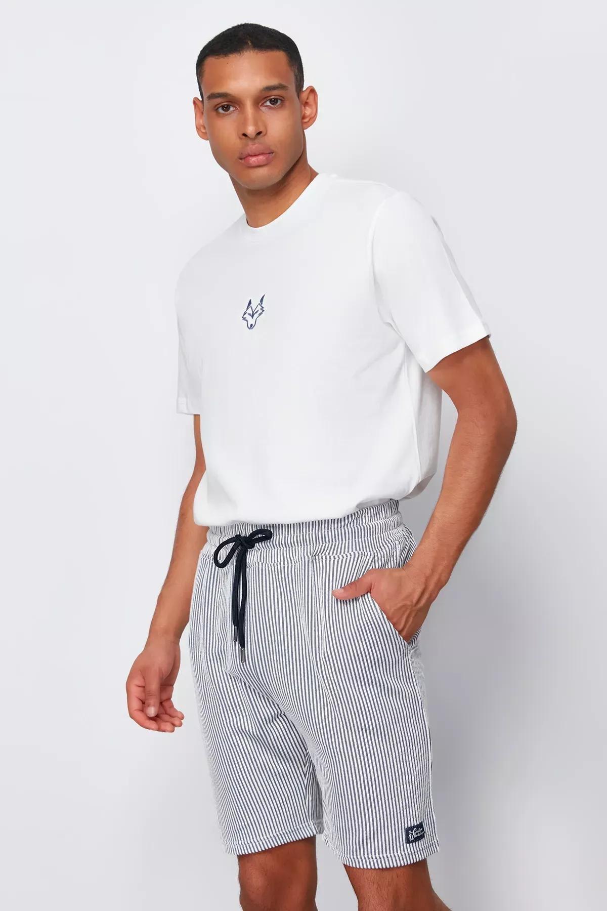 Blue Striped Regular Shorts, DARK BLUE, large image number 2