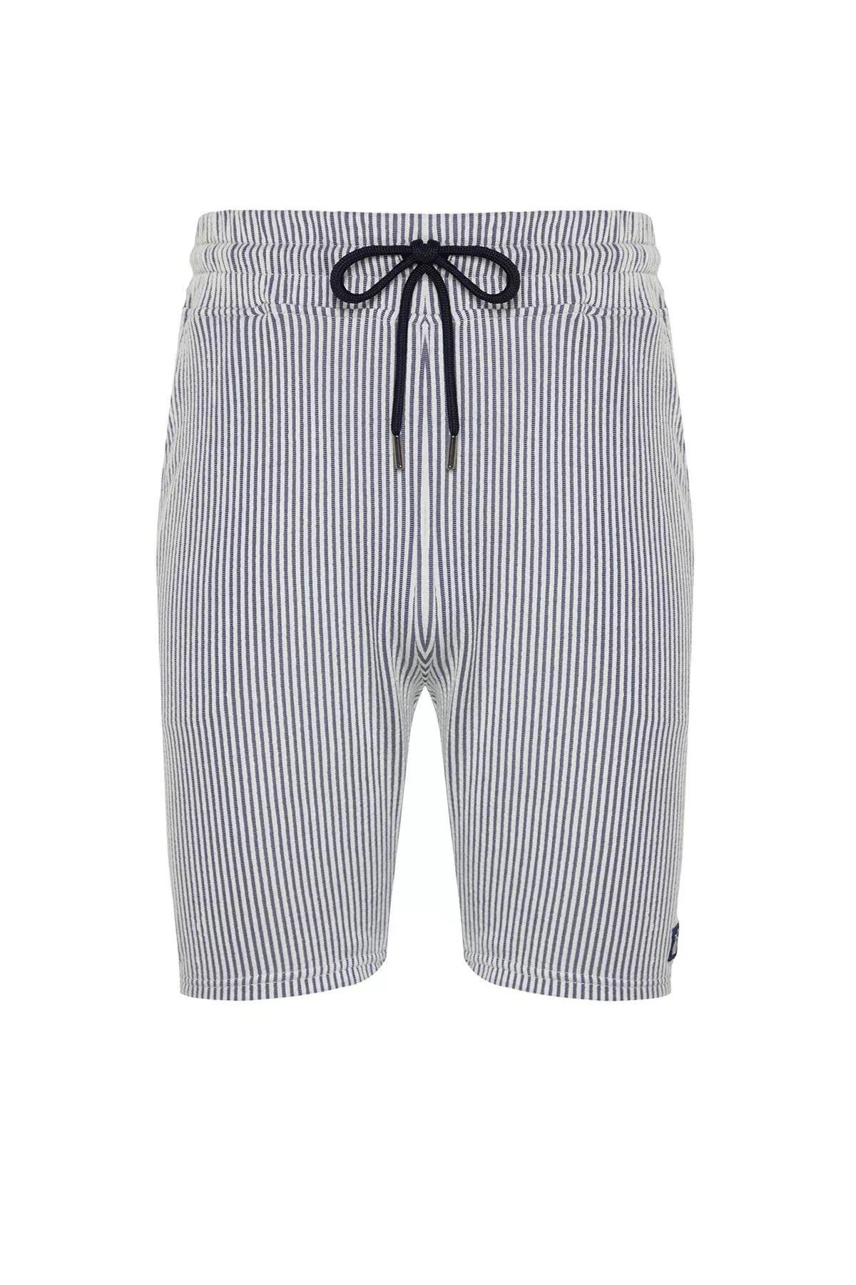 Blue Striped Regular Shorts, DARK BLUE, large image number 5